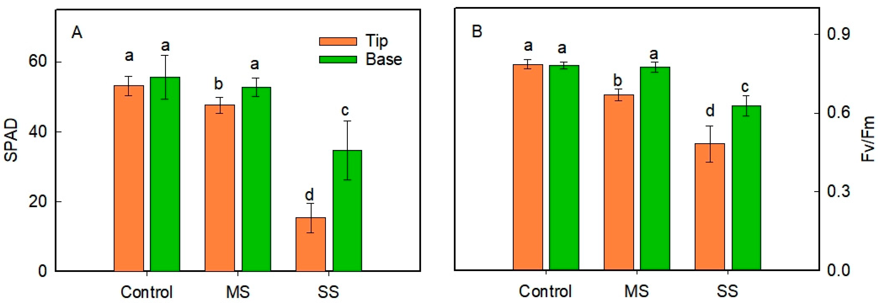 Agriculture 14 01606 g004