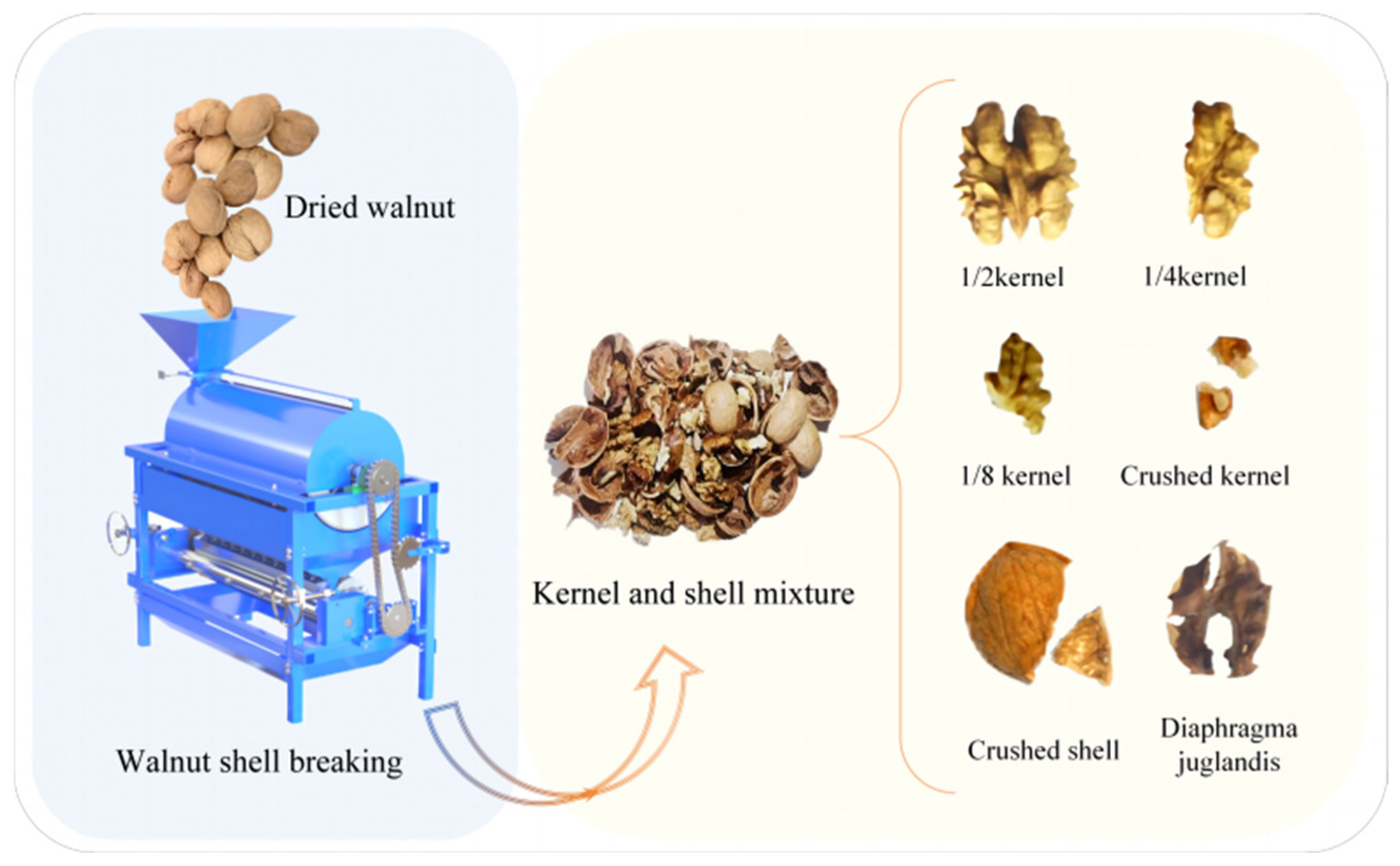 Agriculture 14 01632 g002