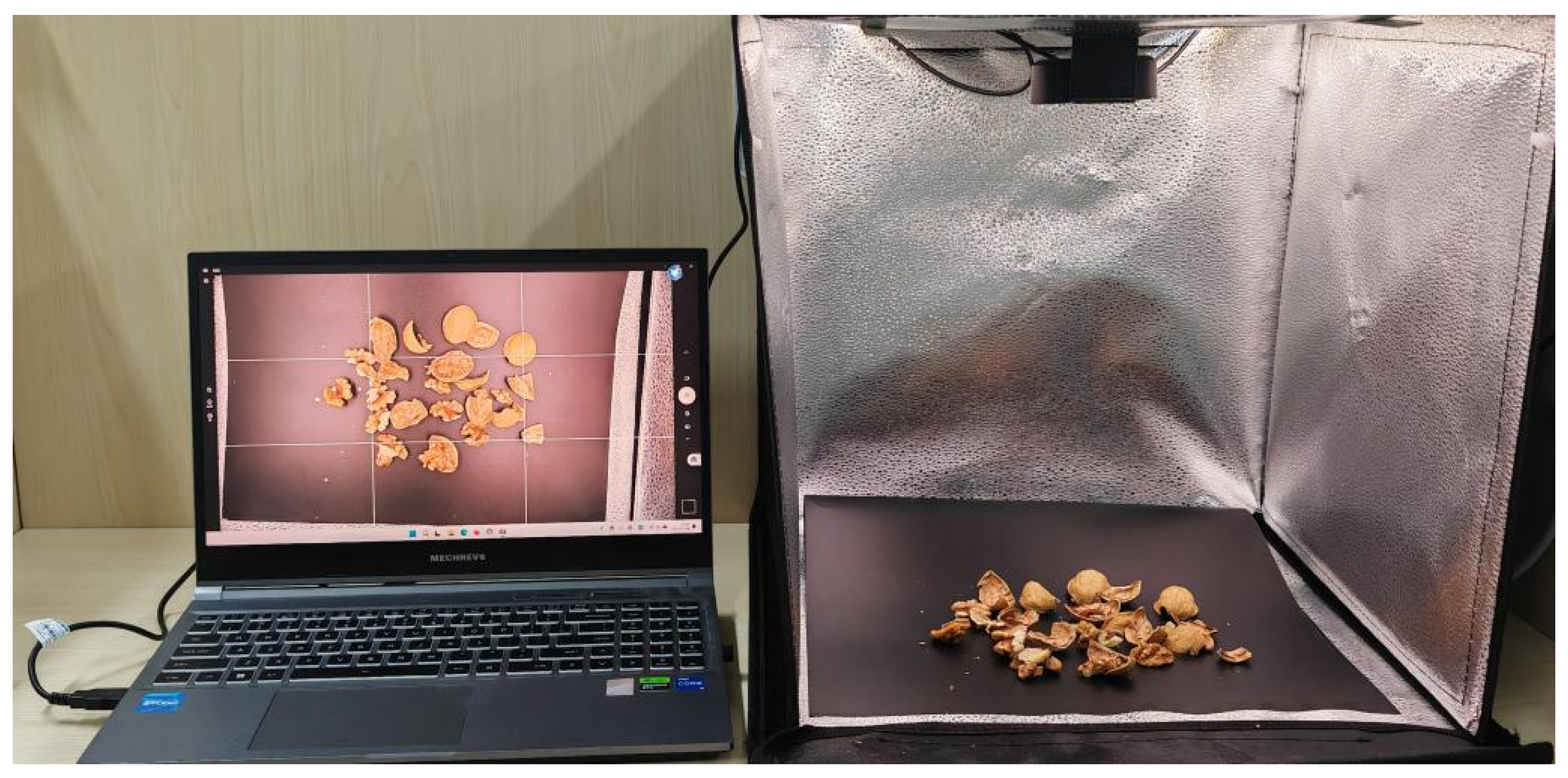 Agriculture 14 01632 g004