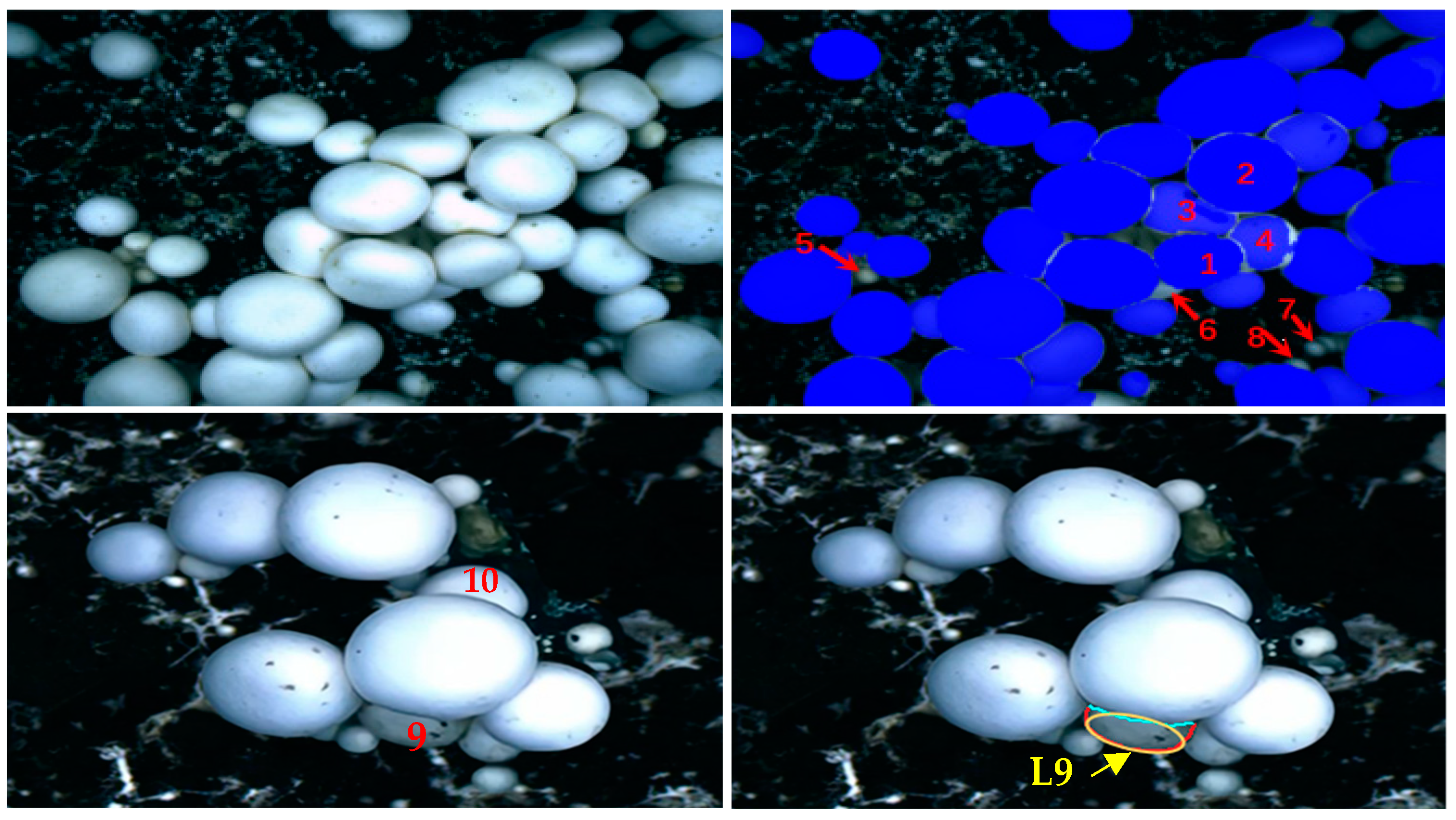 Agriculture 14 01646 g001