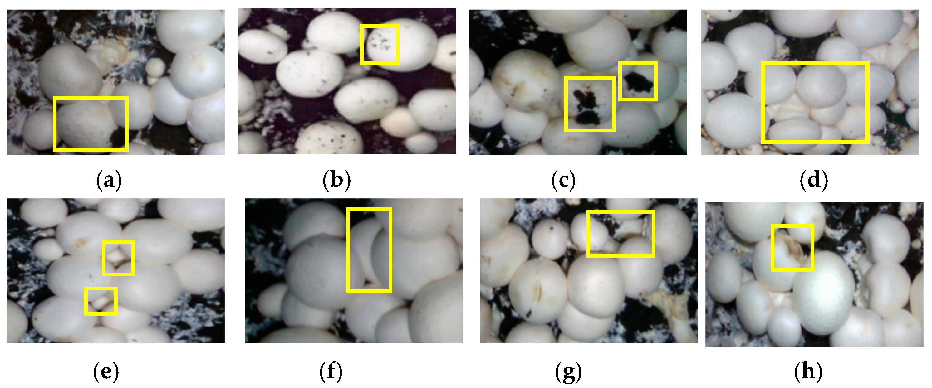 Agriculture 14 01646 g003