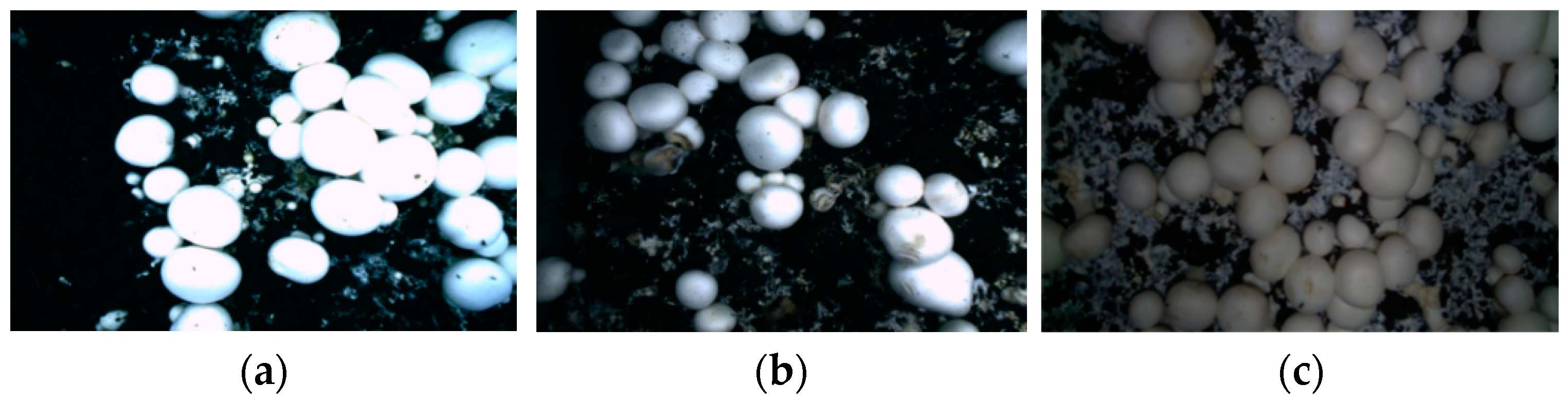 Agriculture 14 01646 g004