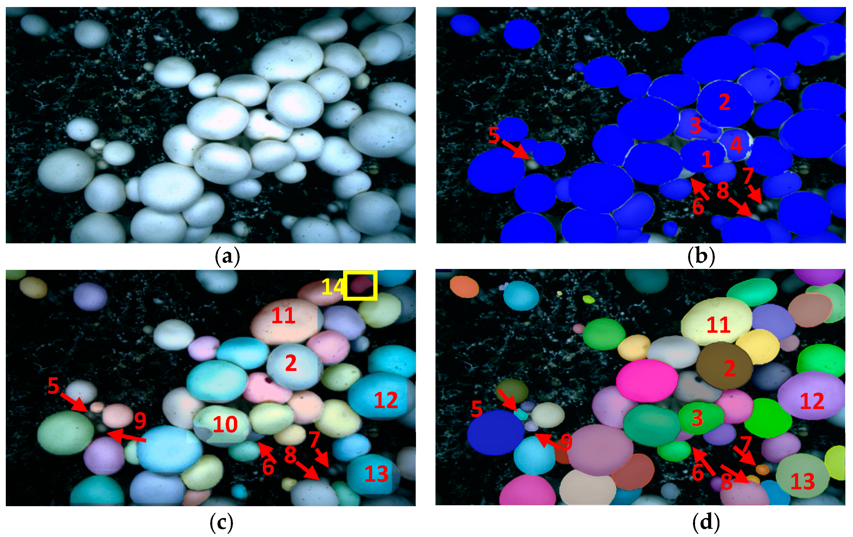 Agriculture 14 01646 g010