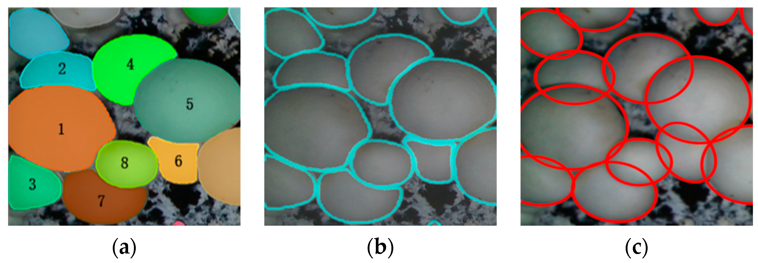 Agriculture 14 01646 g014