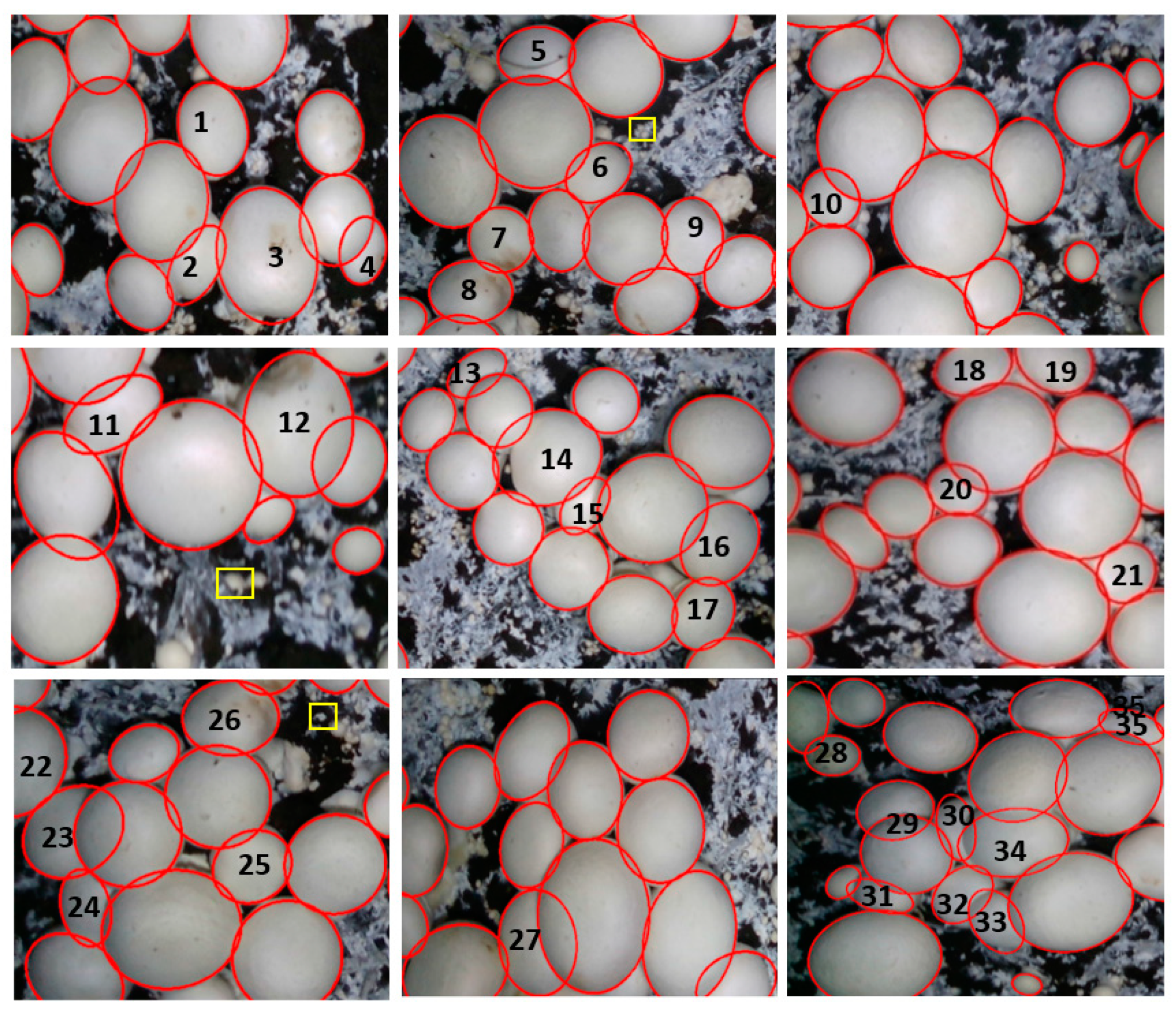 Agriculture 14 01646 g015