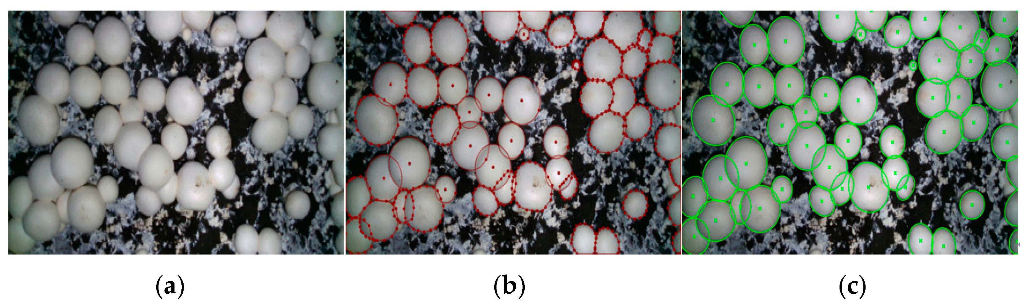 Agriculture 14 01646 g016