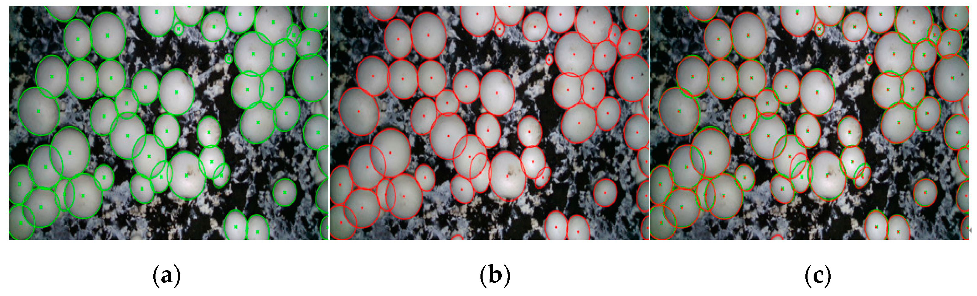 Agriculture 14 01646 g017