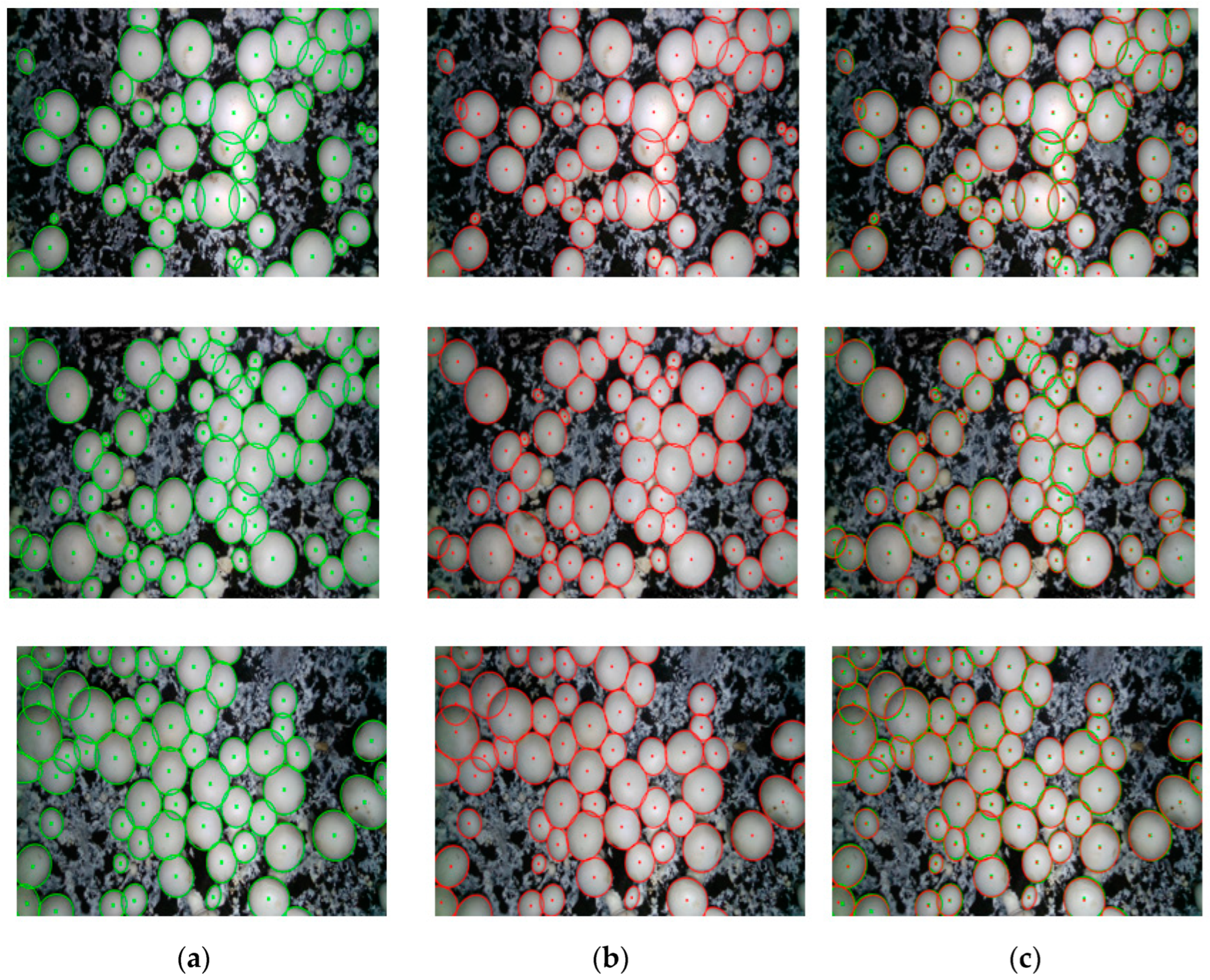 Agriculture 14 01646 g018