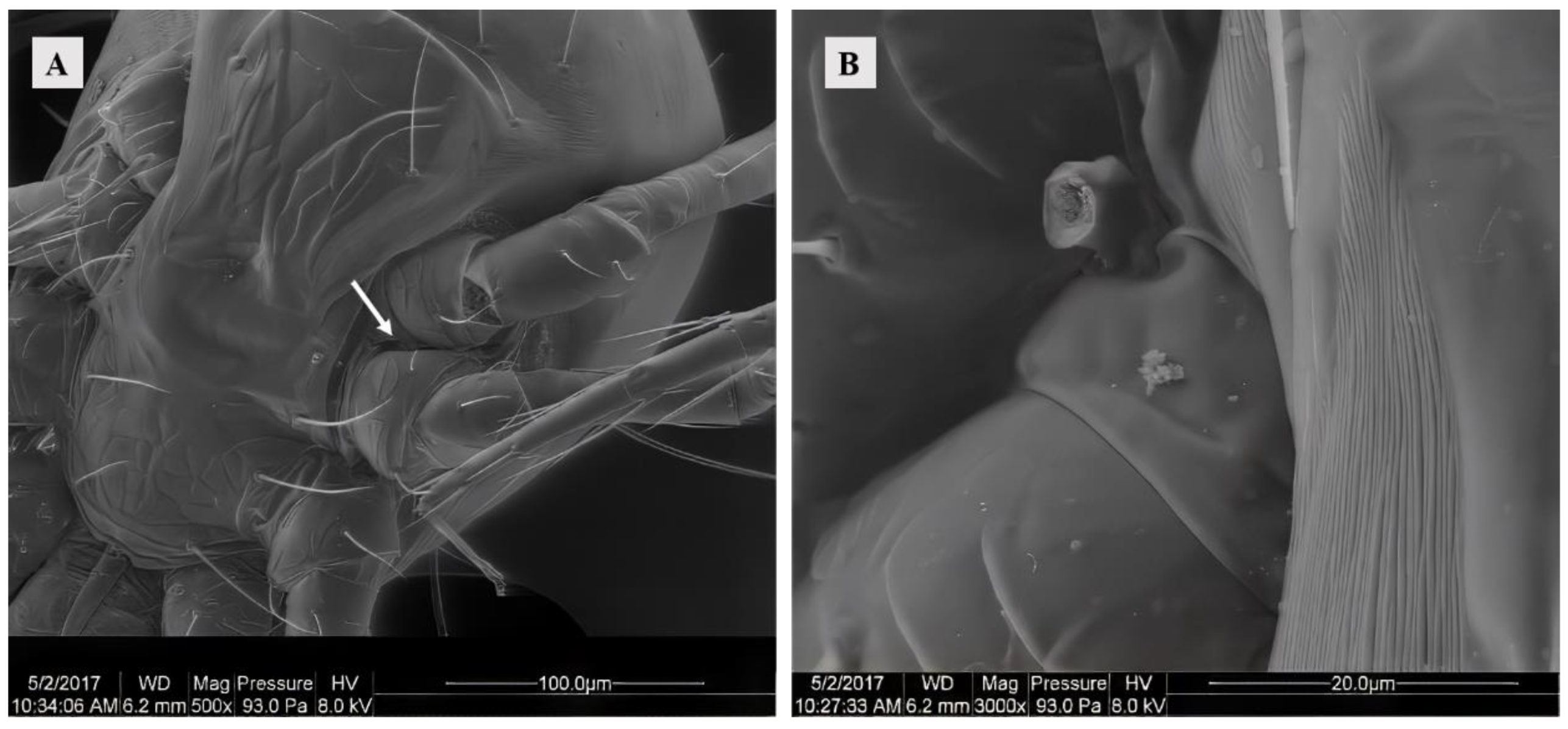 Agriculture 14 01647 g001