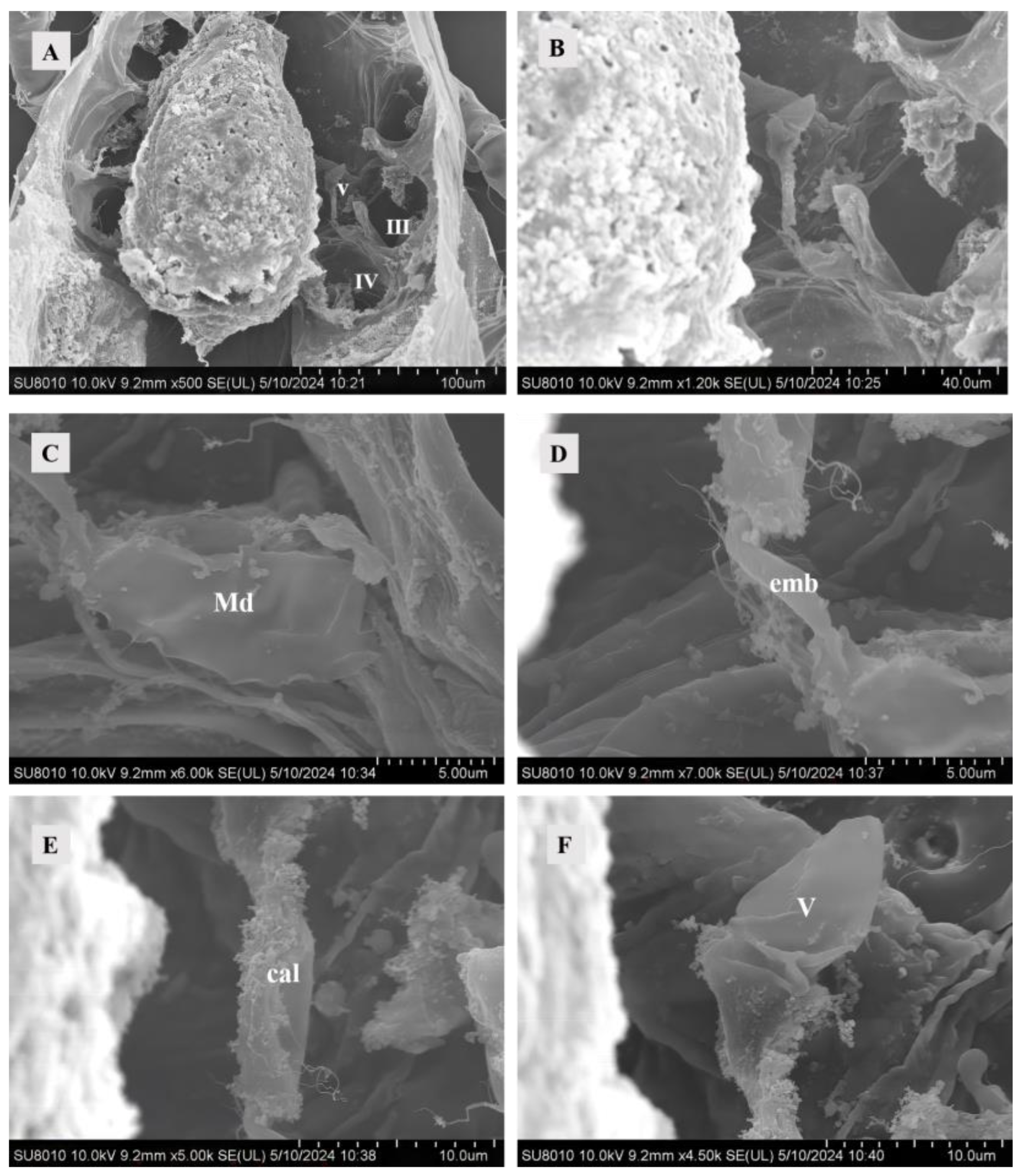 Agriculture 14 01647 g002
