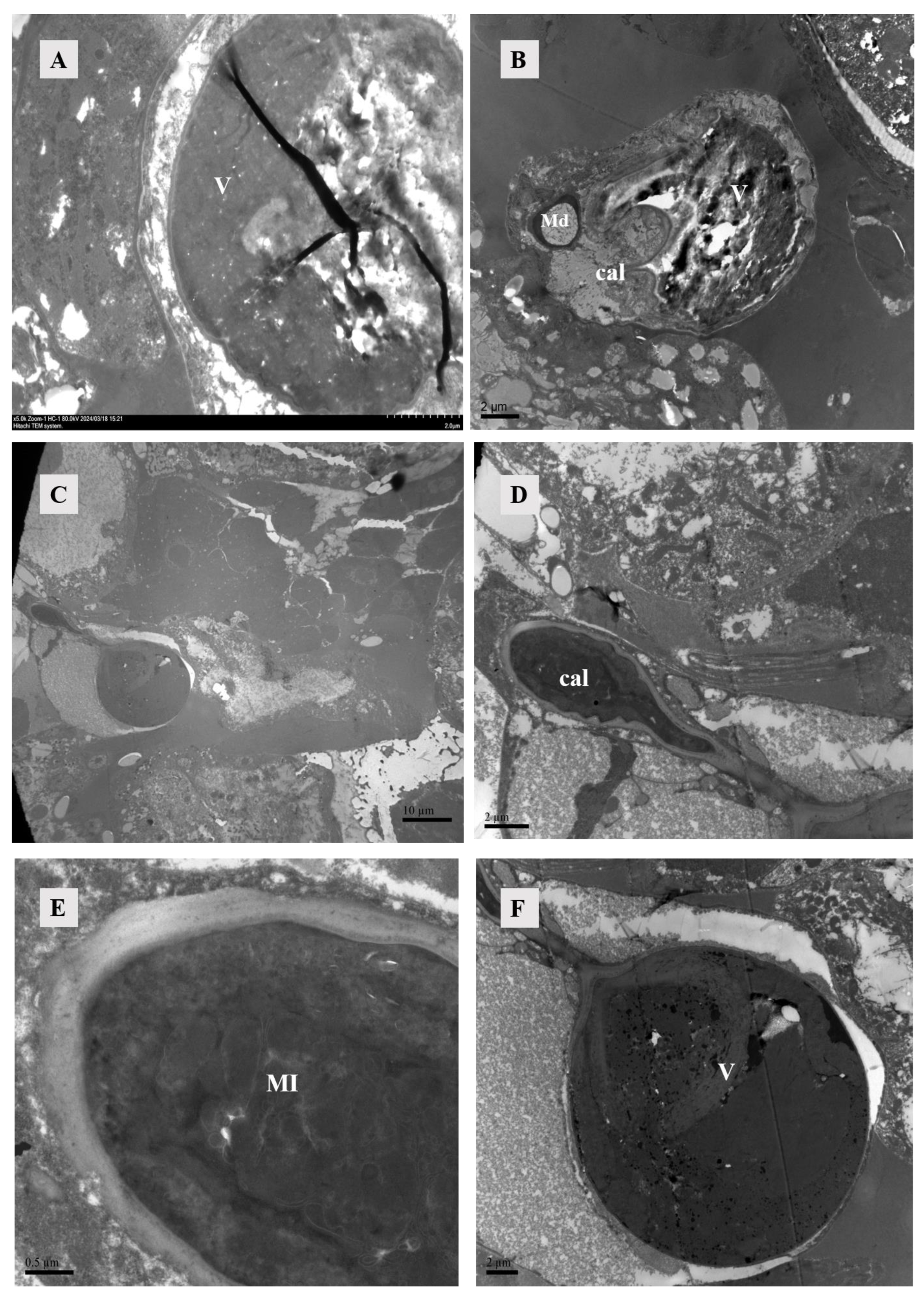 Agriculture 14 01647 g003
