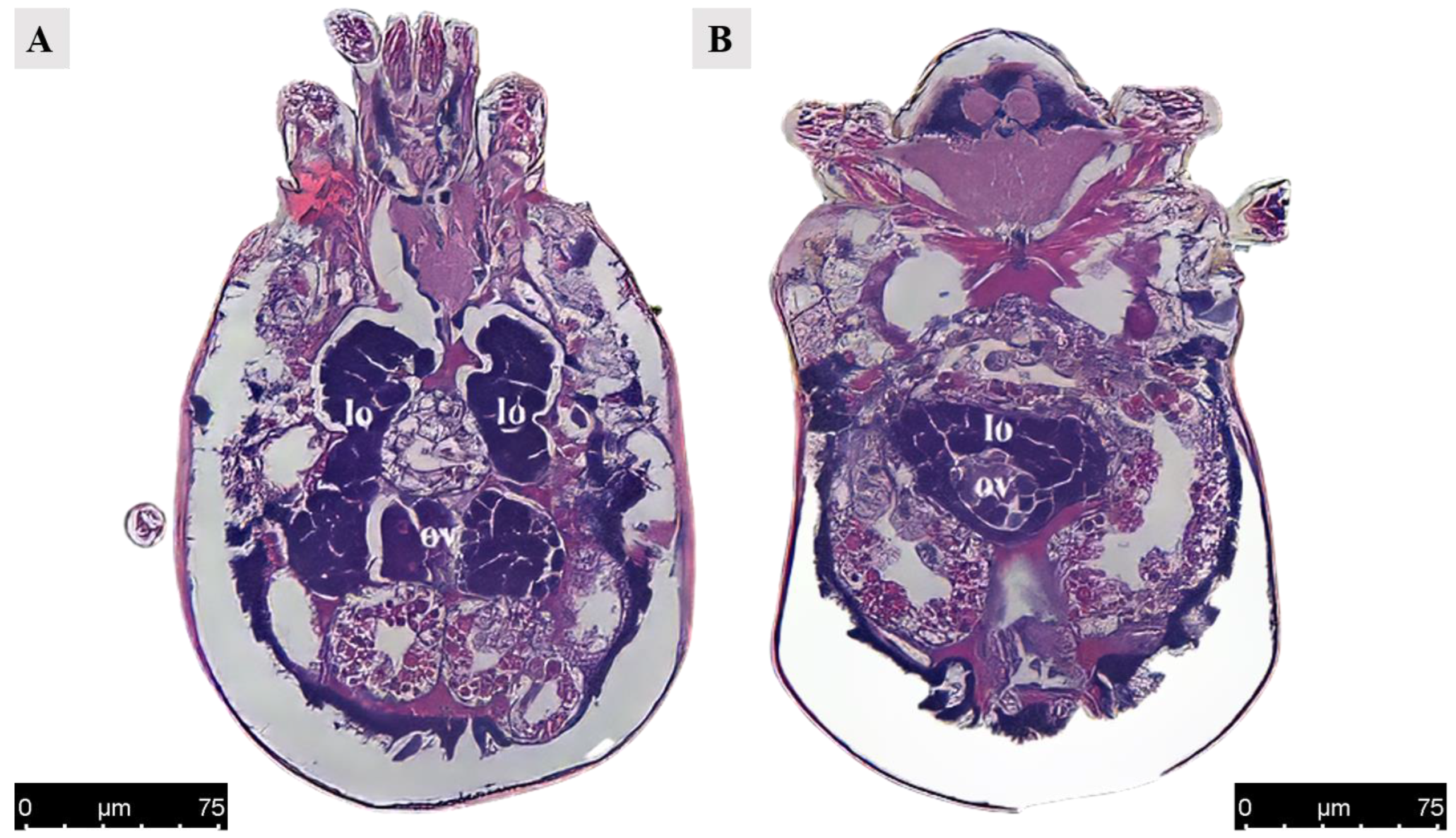 Agriculture 14 01647 g004