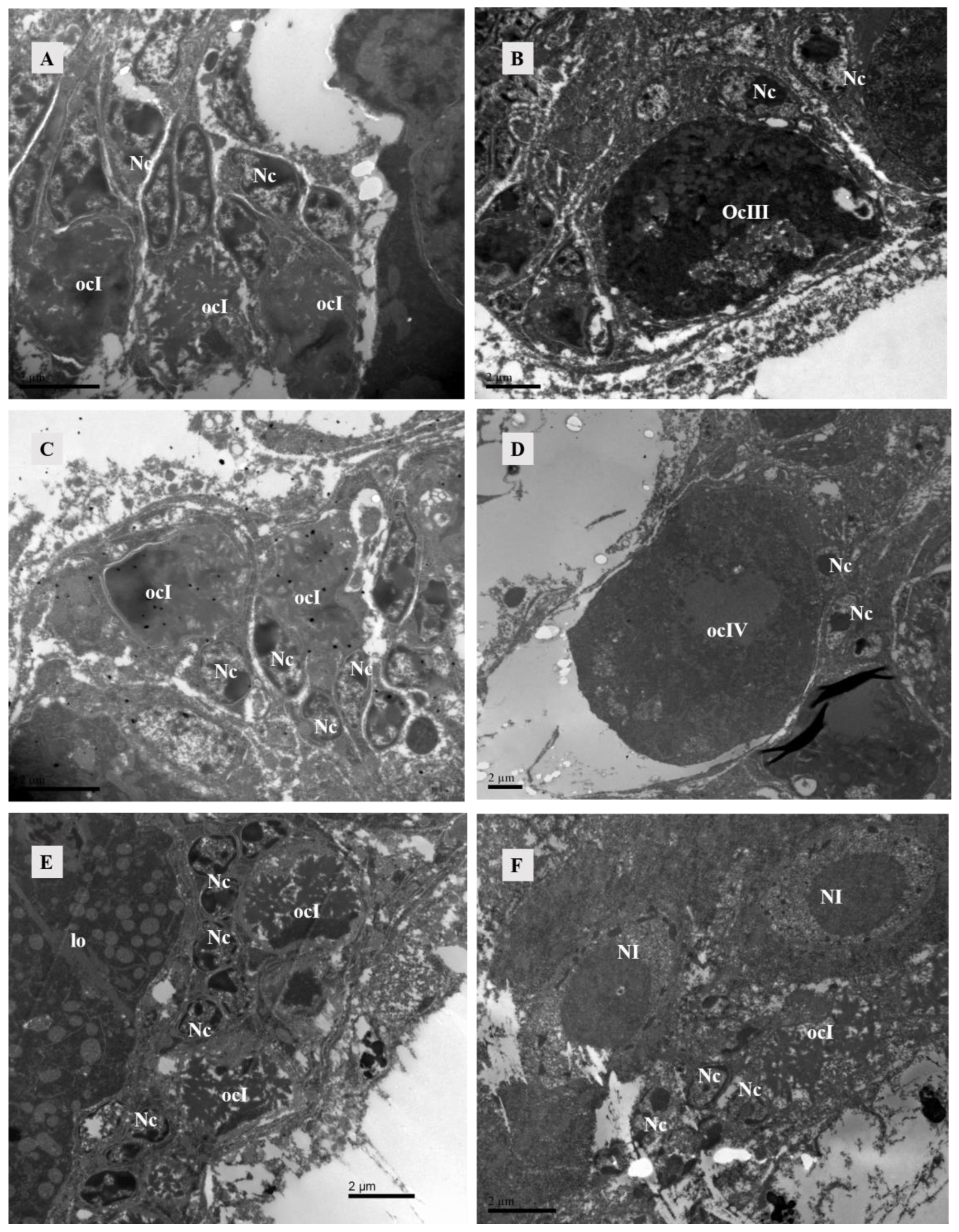 Agriculture 14 01647 g006
