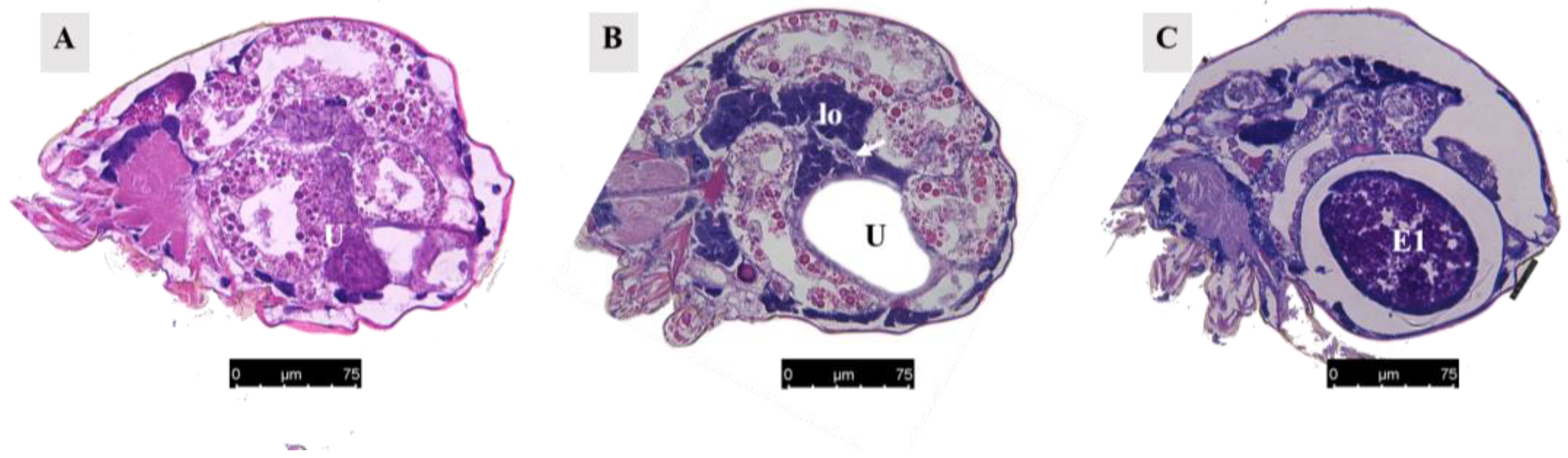 Agriculture 14 01647 g008