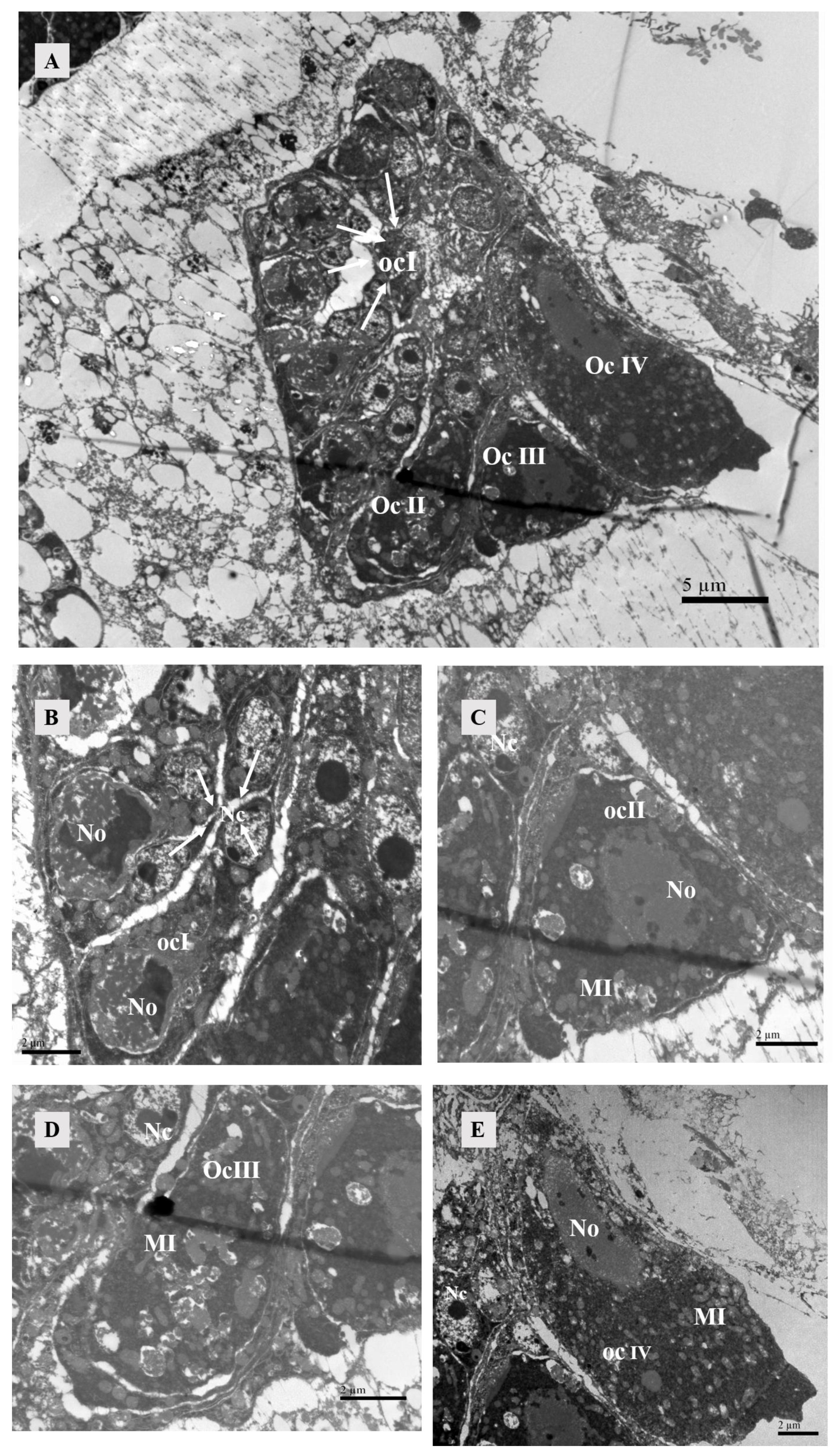 Agriculture 14 01647 g012