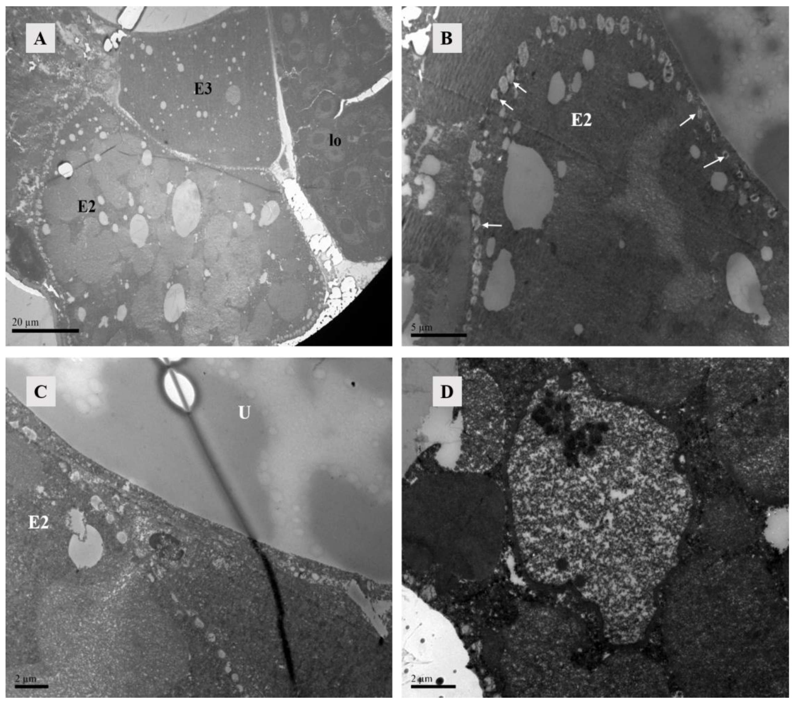 Agriculture 14 01647 g015