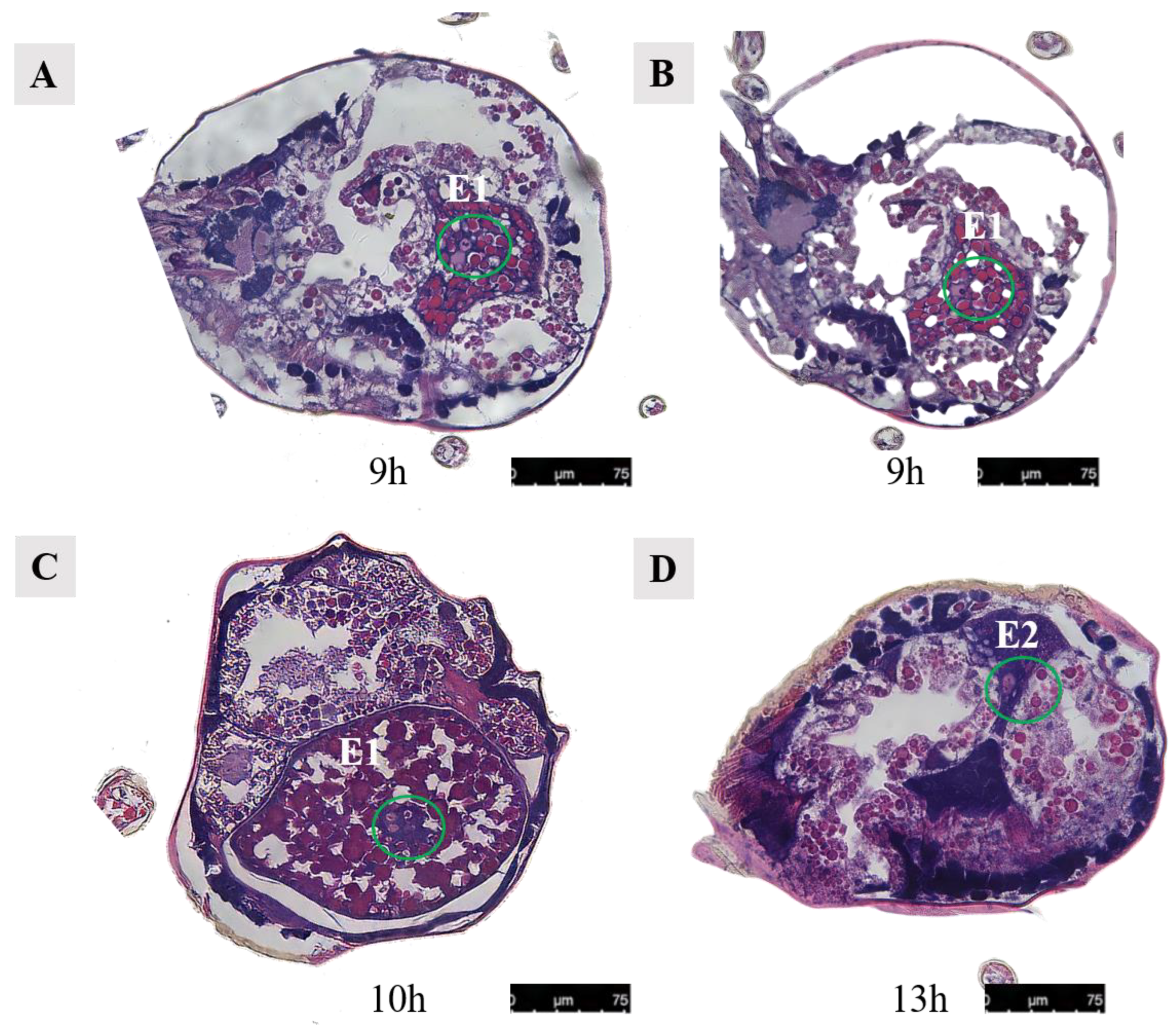 Agriculture 14 01647 g017