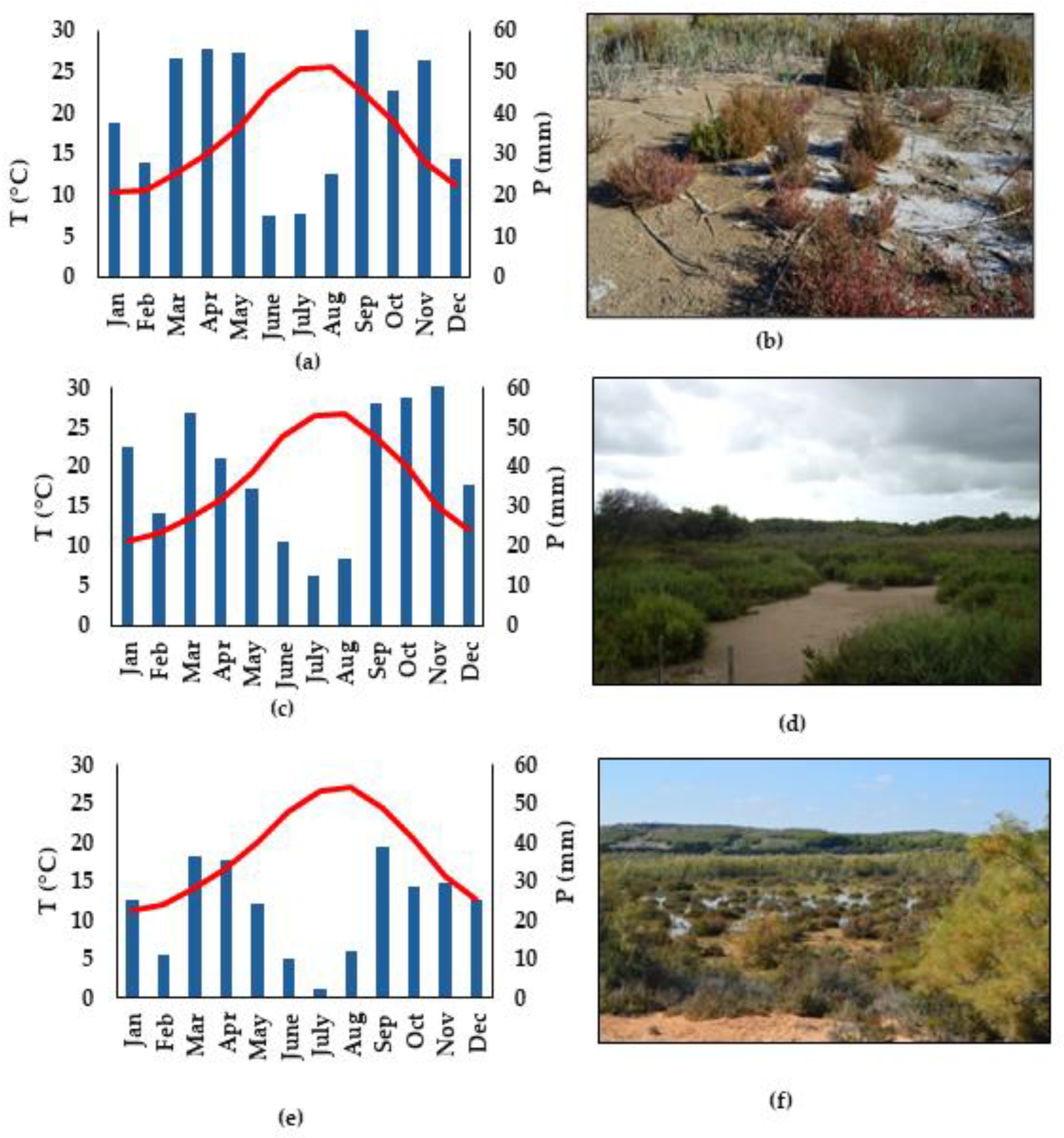 Agriculture 14 01657 g001