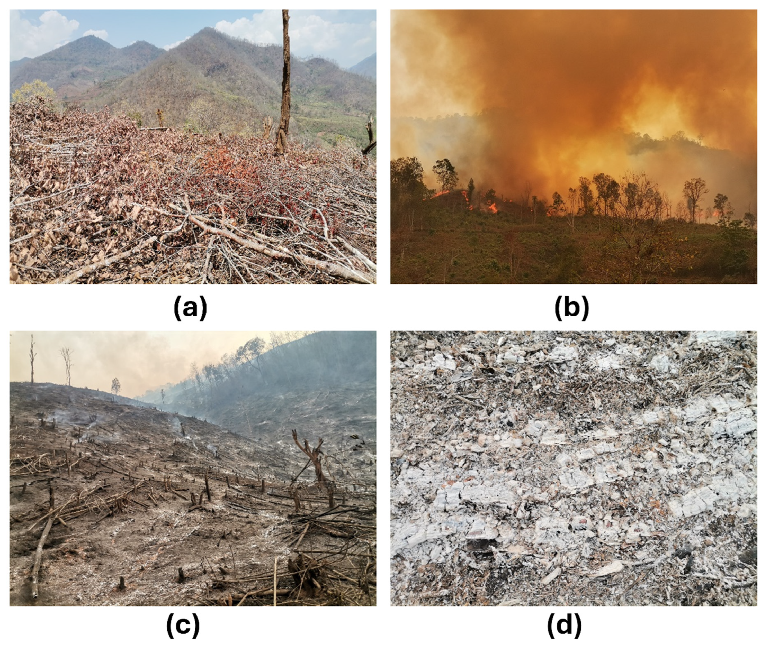 Agriculture 14 01660 g004