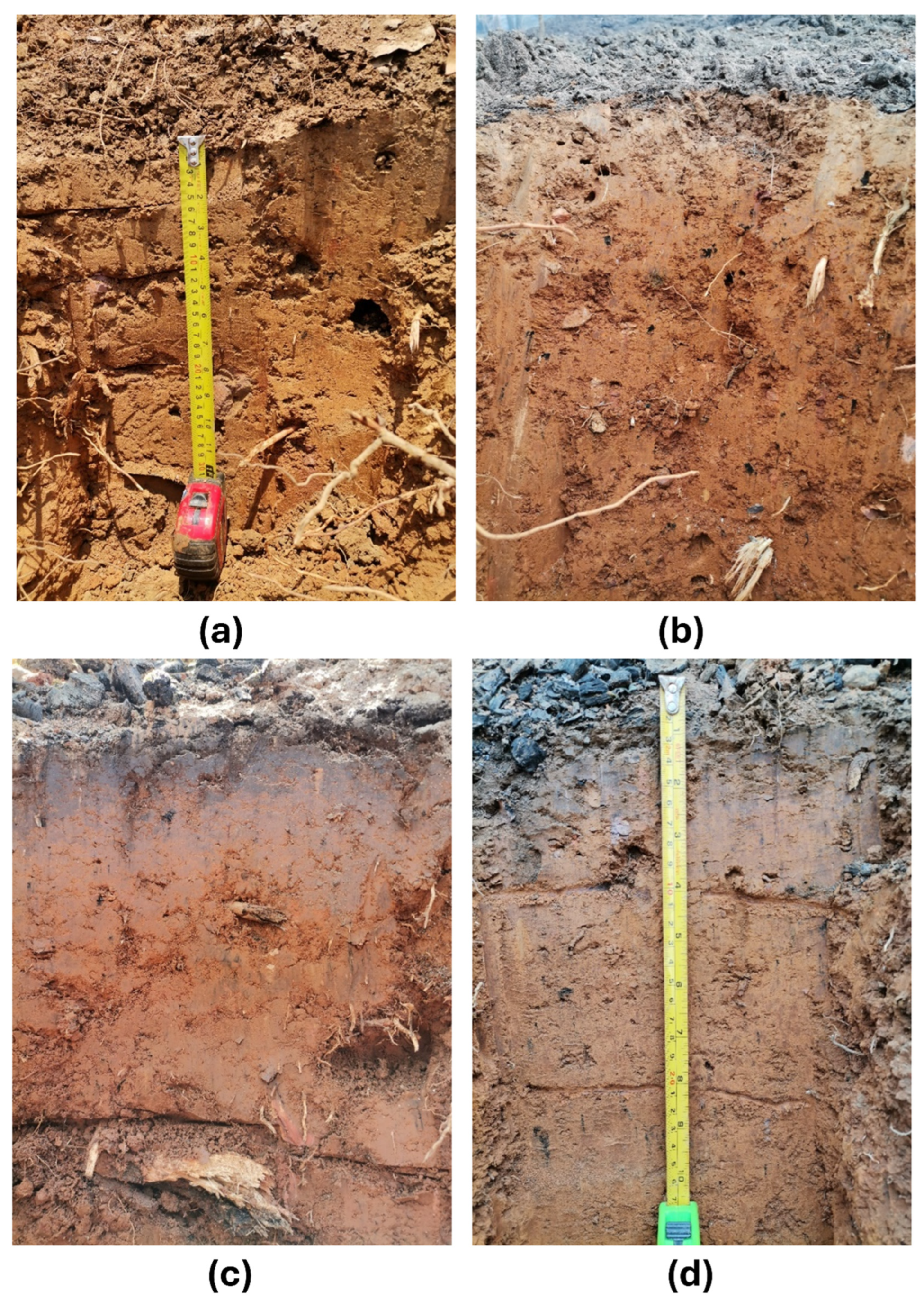 Agriculture 14 01660 g005