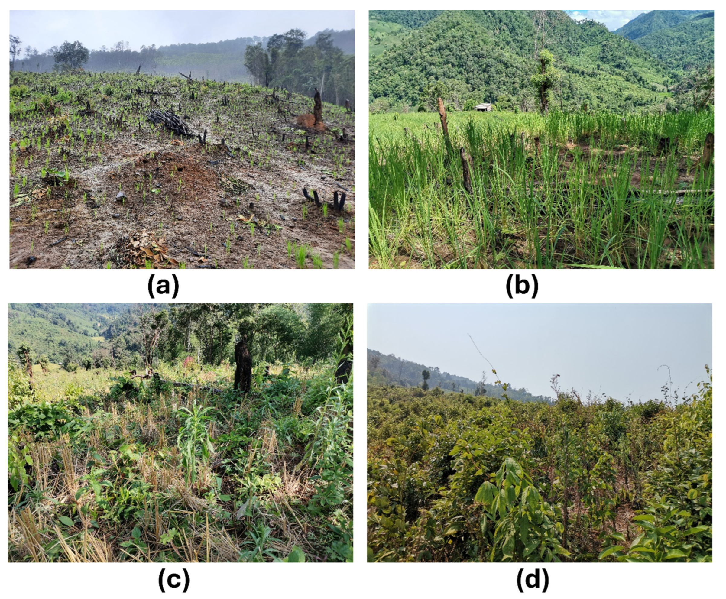 Agriculture 14 01660 g006