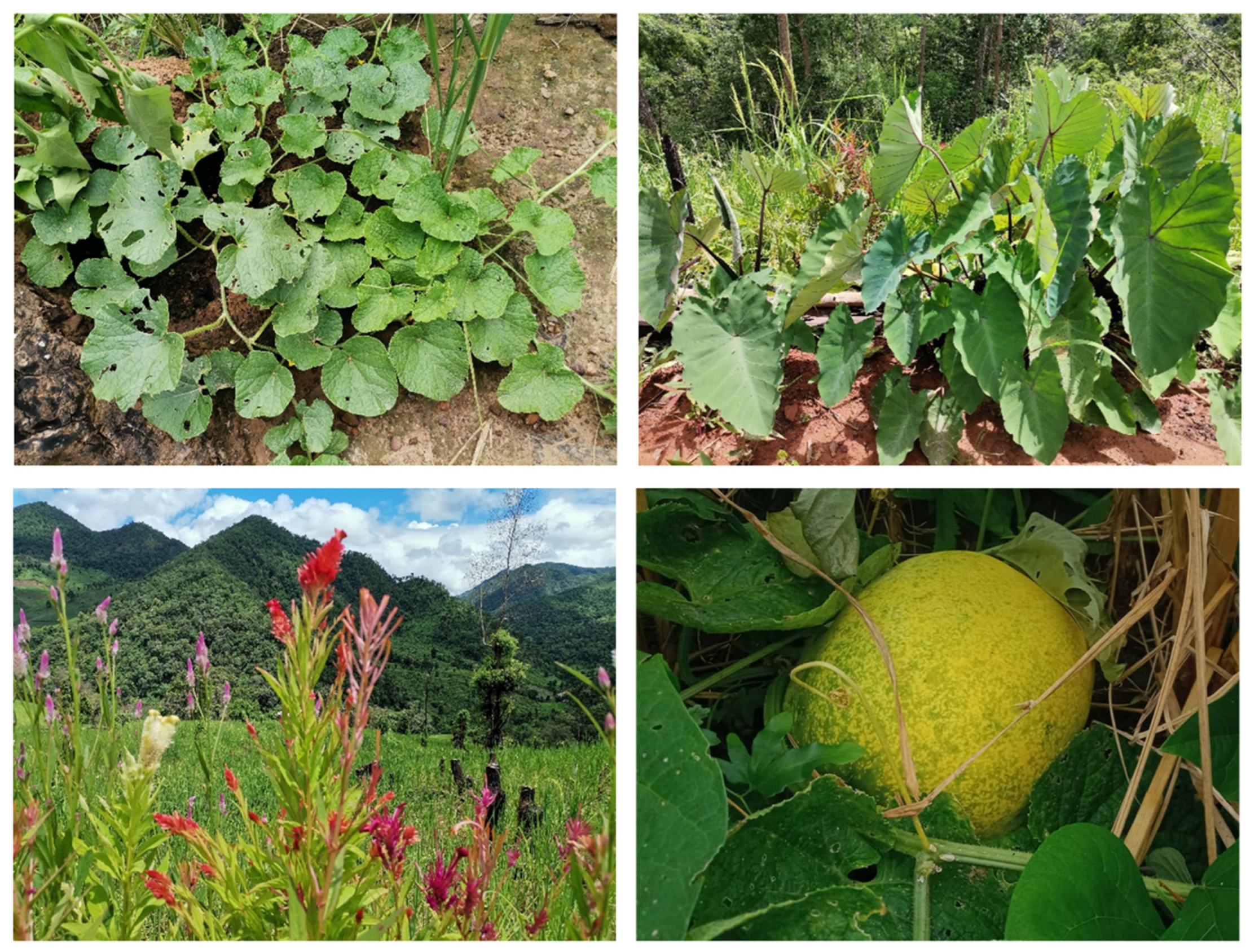 Agriculture 14 01660 g007