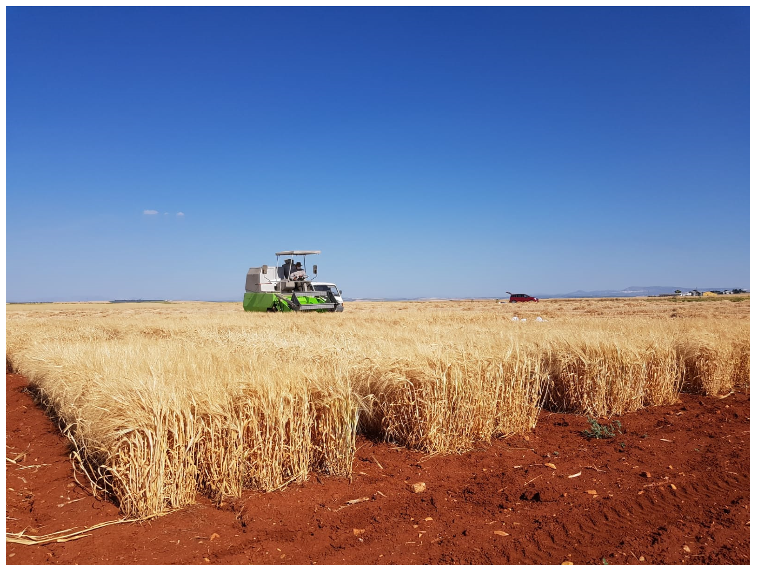 Agriculture 14 01674 g005