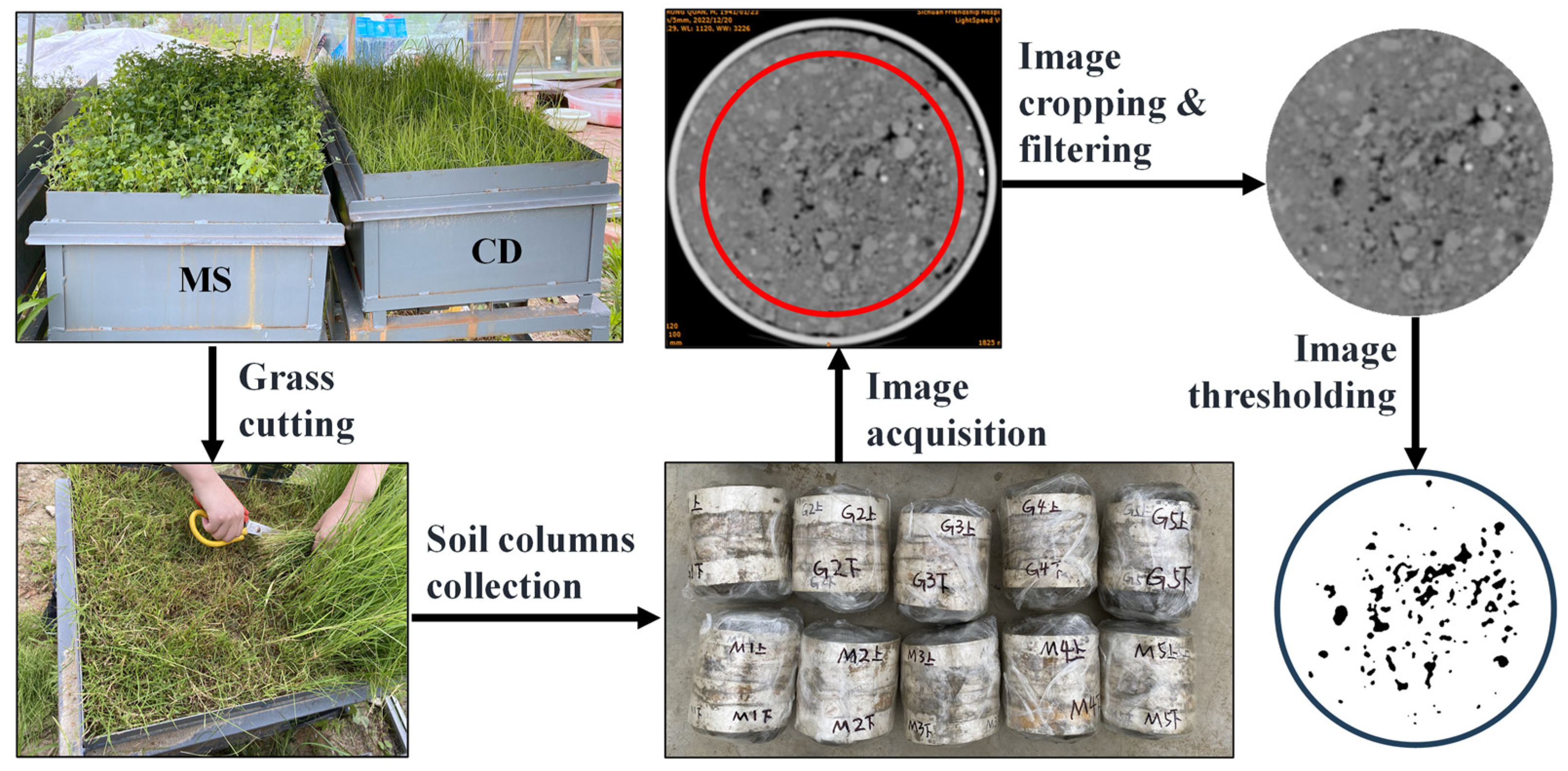 Agriculture 14 01676 g001