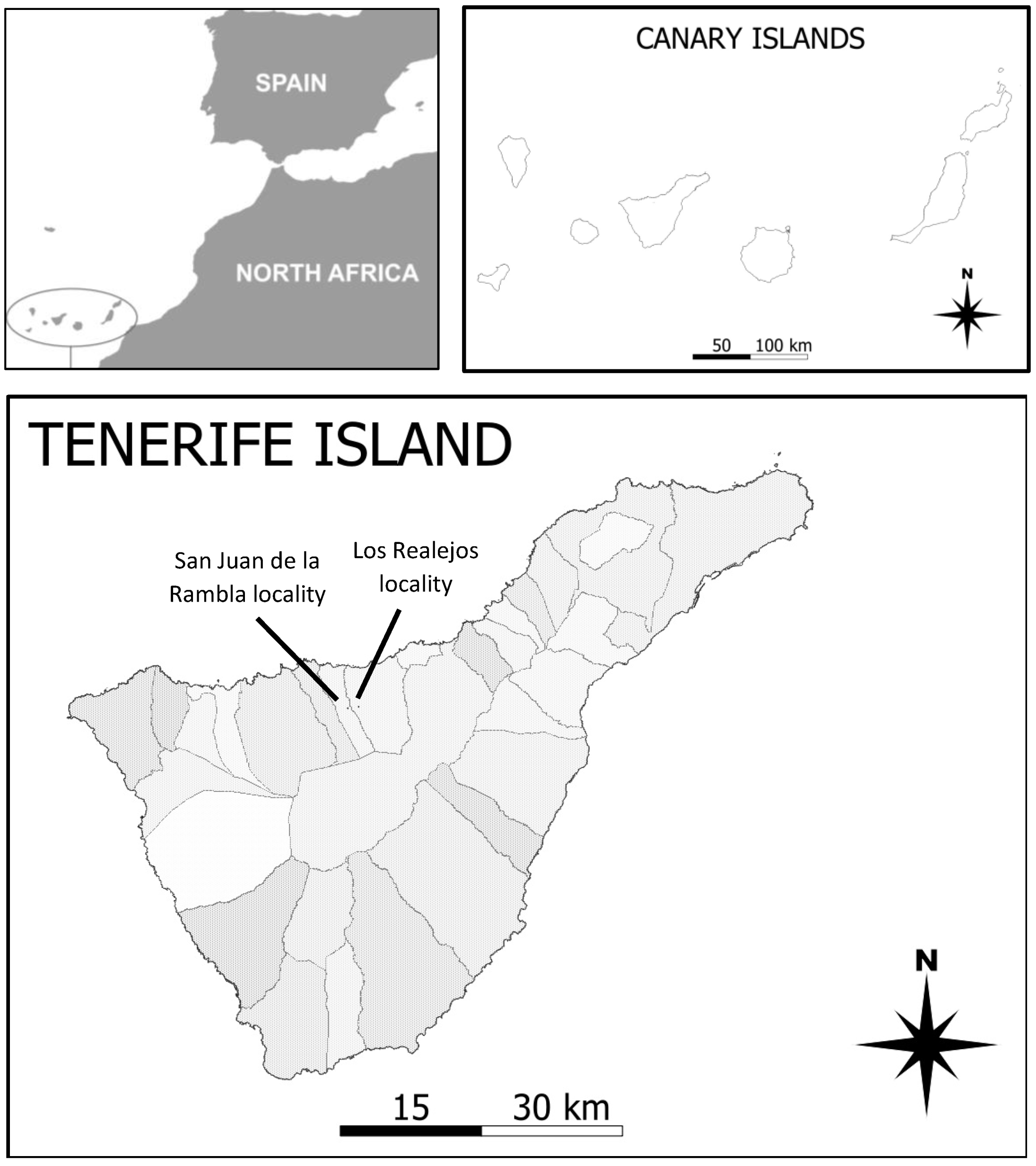 Agriculture 14 01683 g001