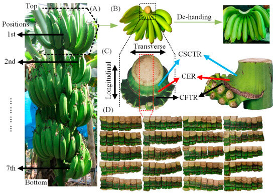 Agriculture 14 01714 g001