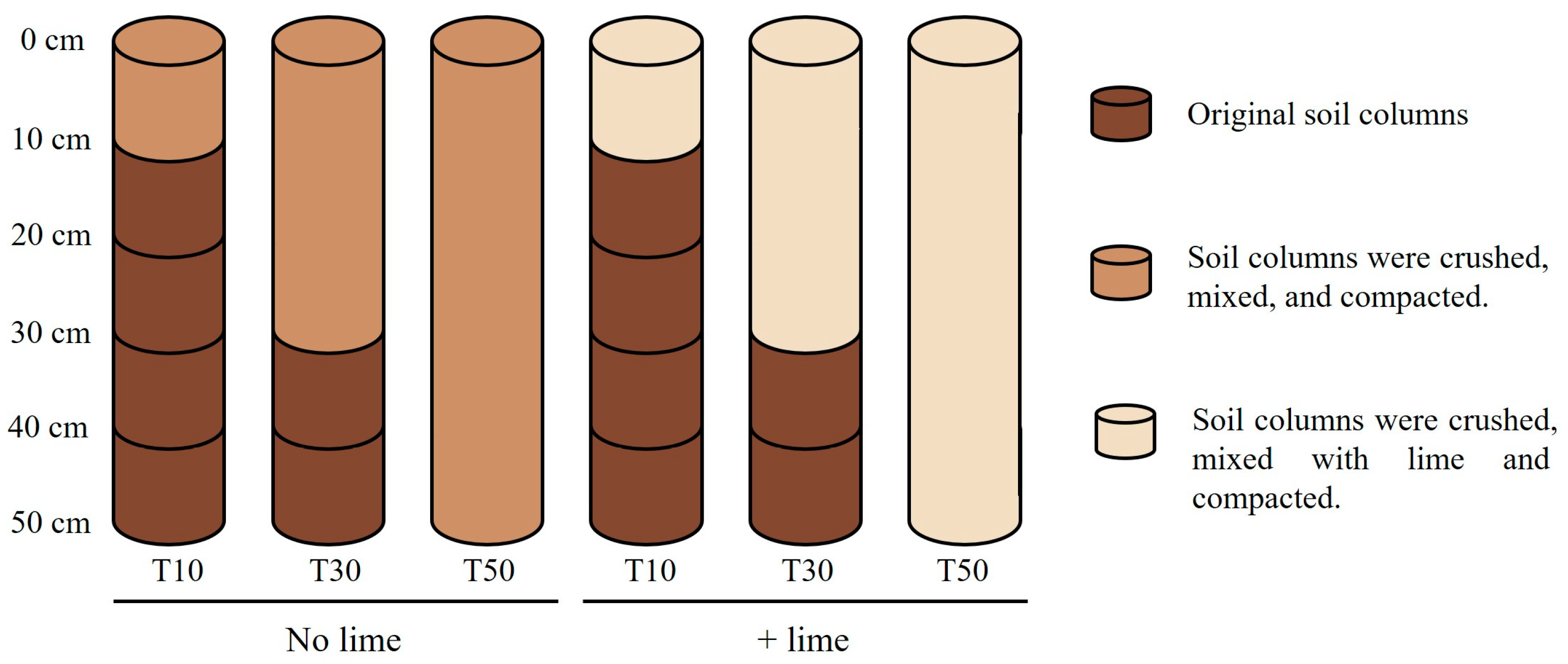 Agriculture 14 01728 g001