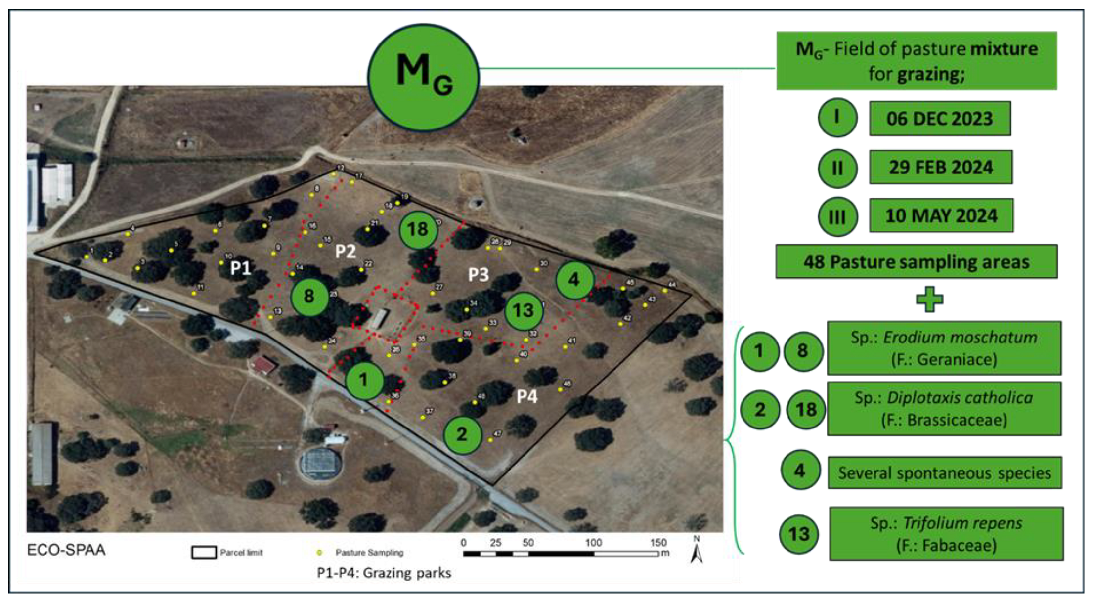 Agriculture 14 01737 g003