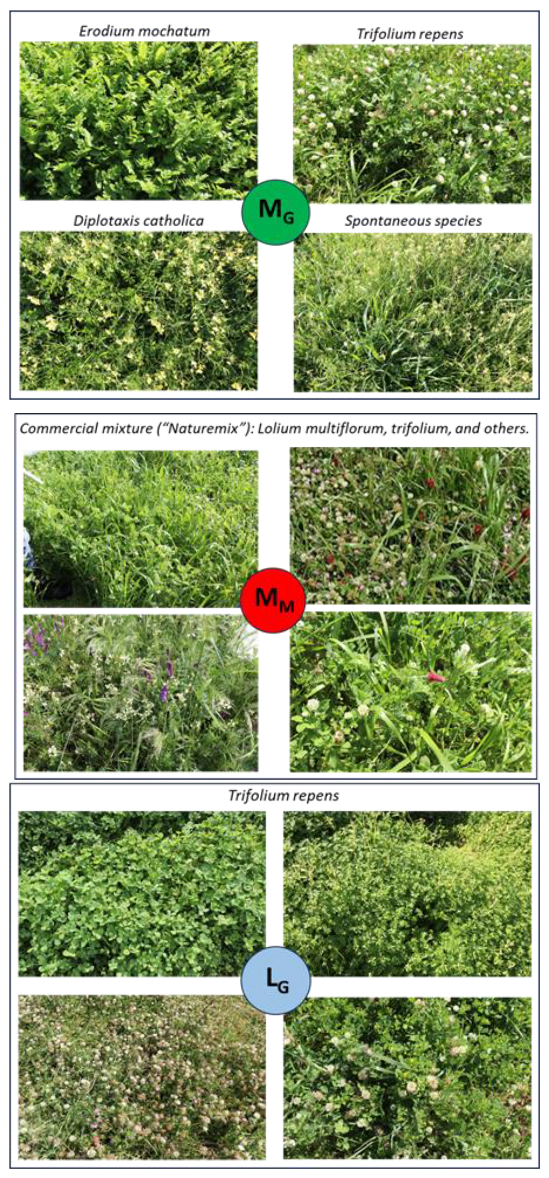 Agriculture 14 01737 g004