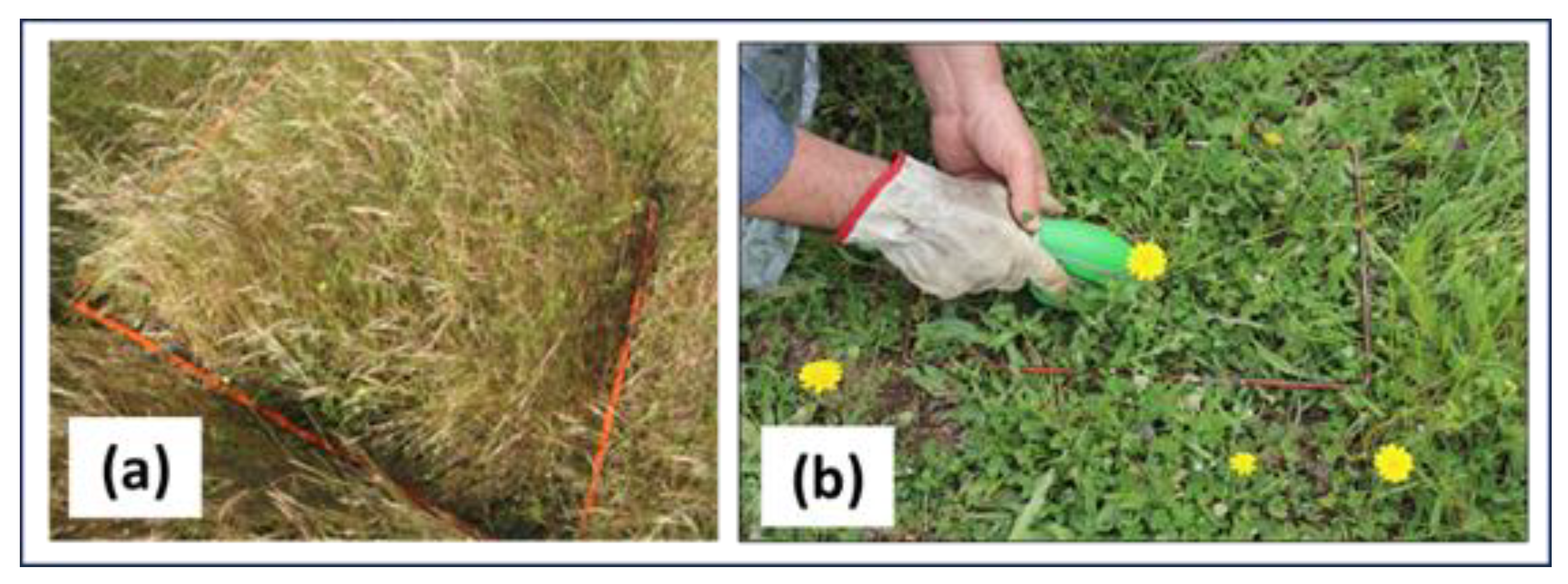 Agriculture 14 01737 g007