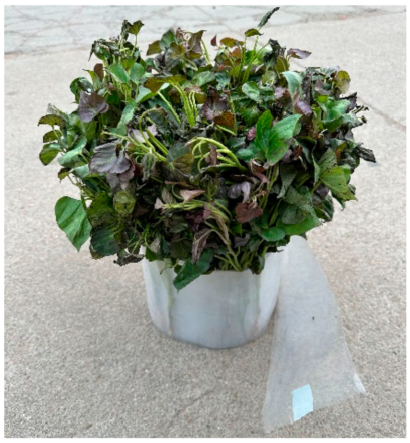 Agriculture 14 01738 g007