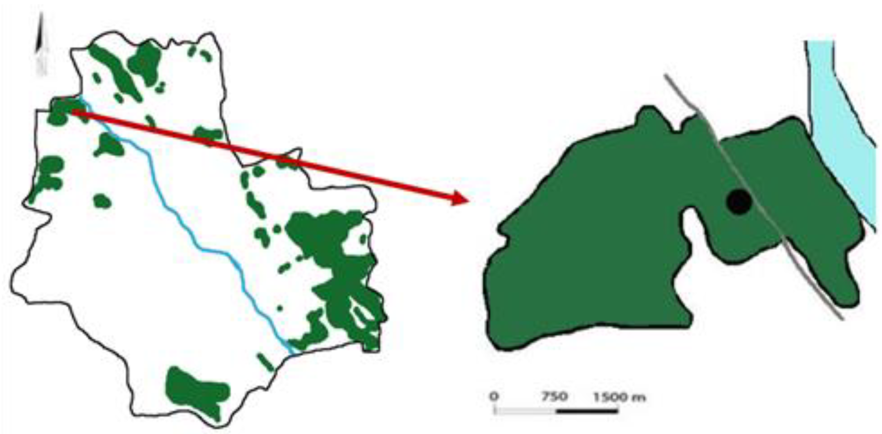 Agriculture 14 01750 g001