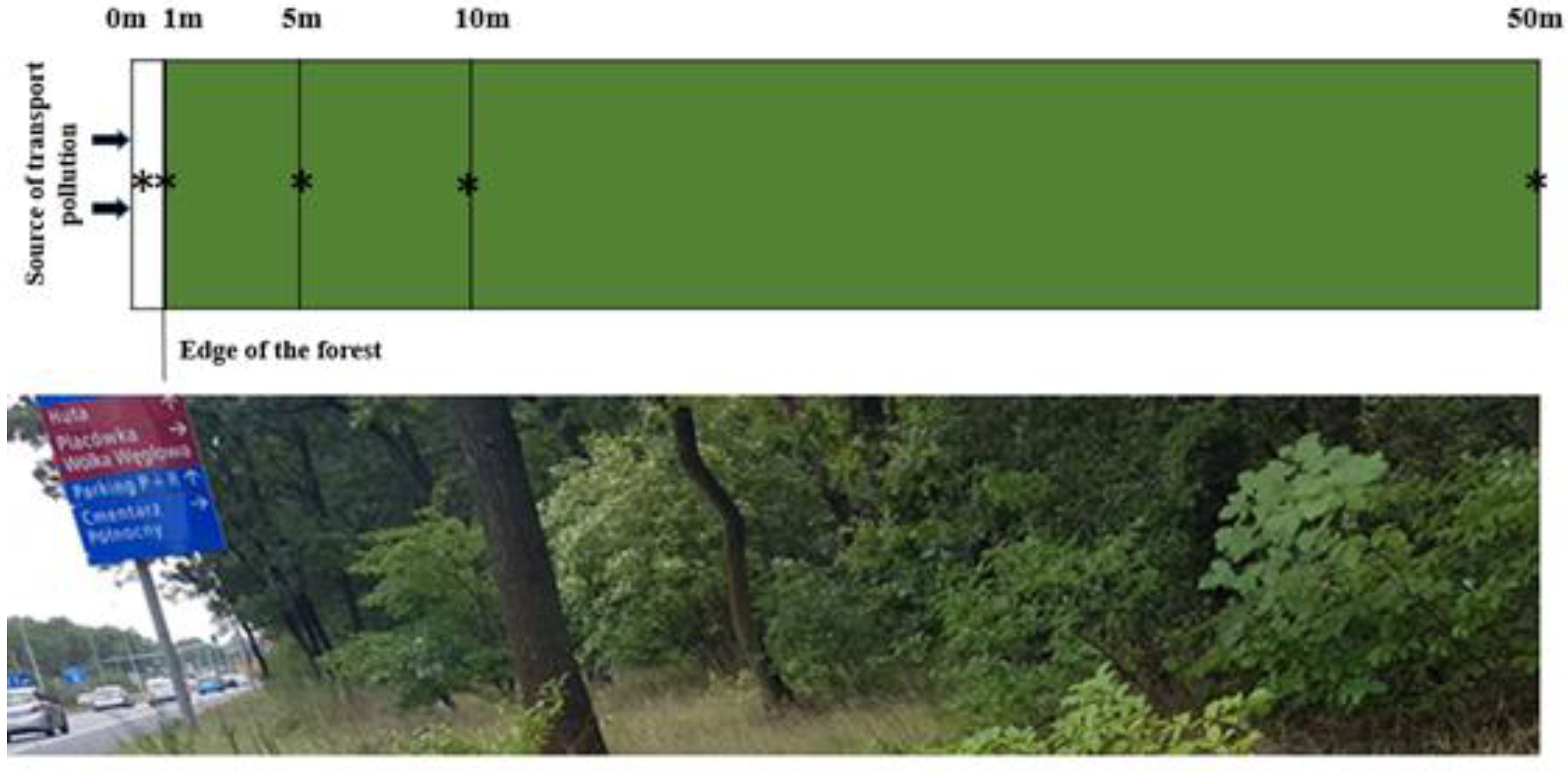 Agriculture 14 01750 g003