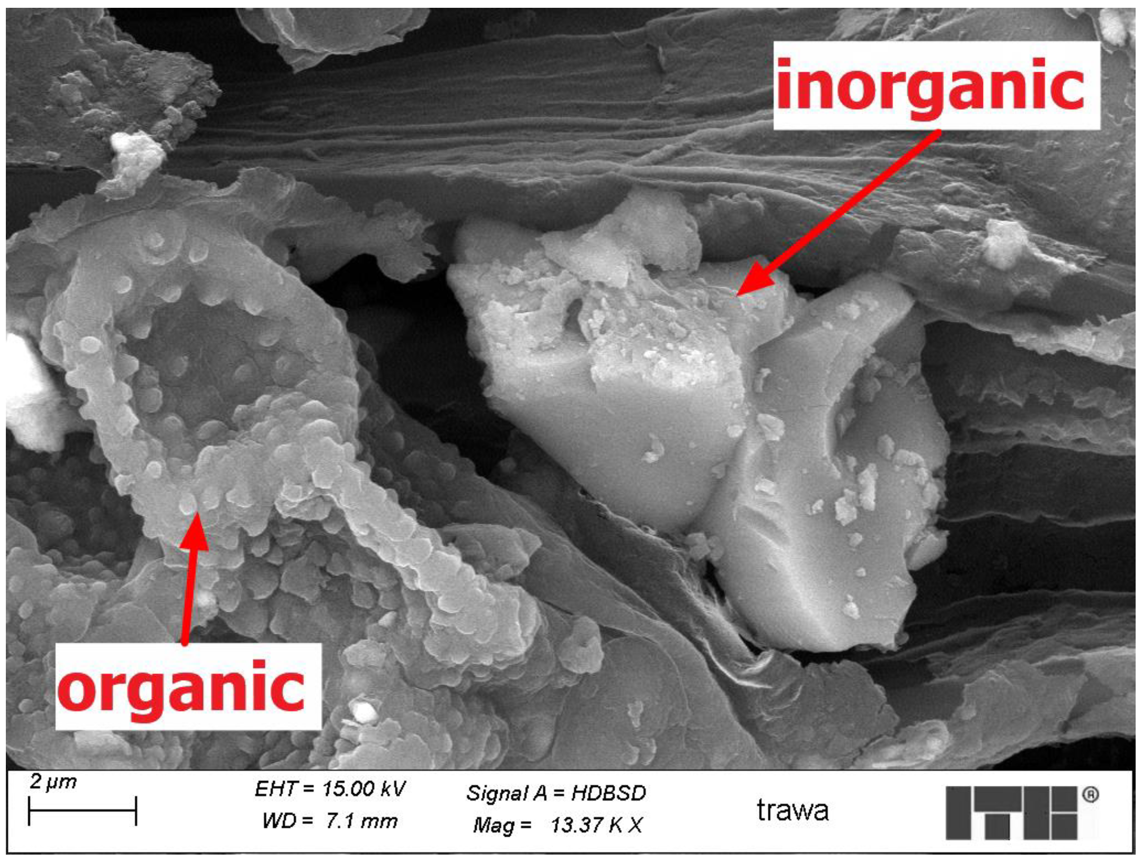 Agriculture 14 01750 g010