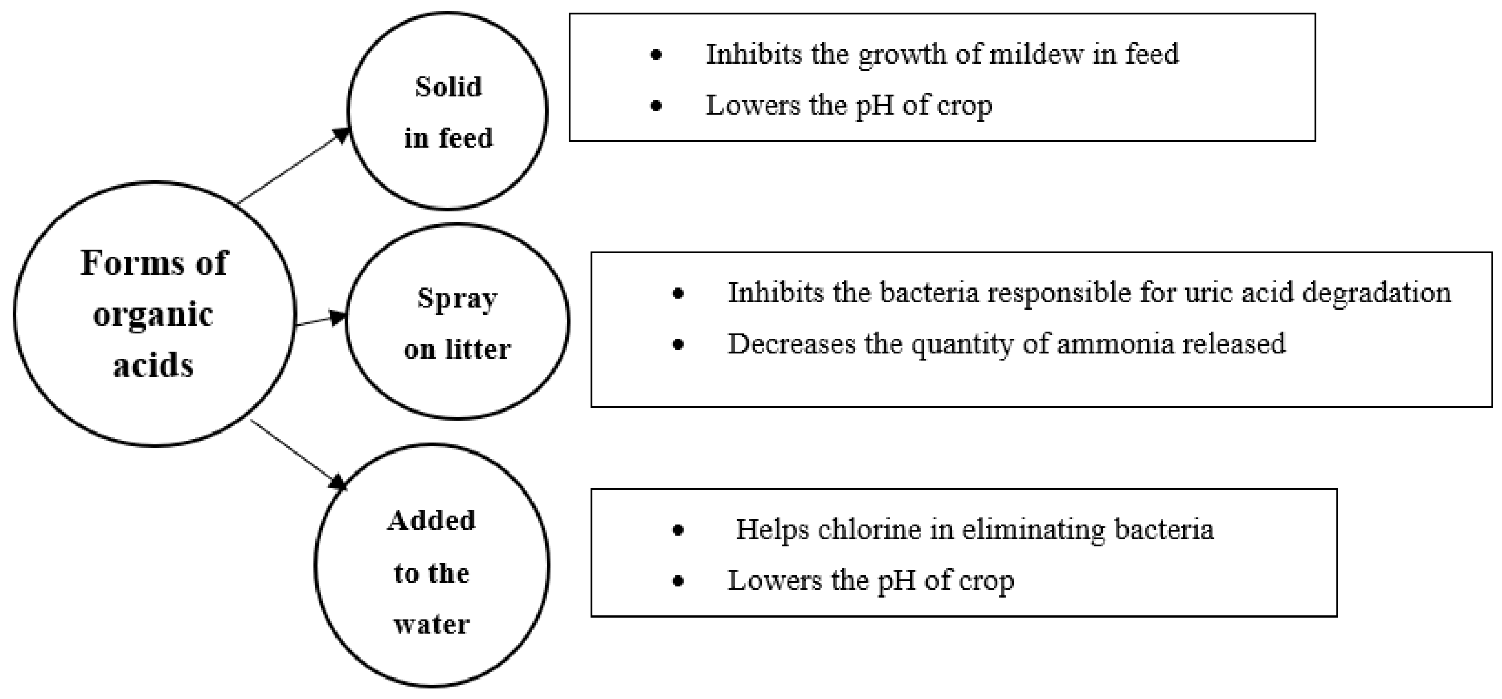 Agriculture 14 01756 g003