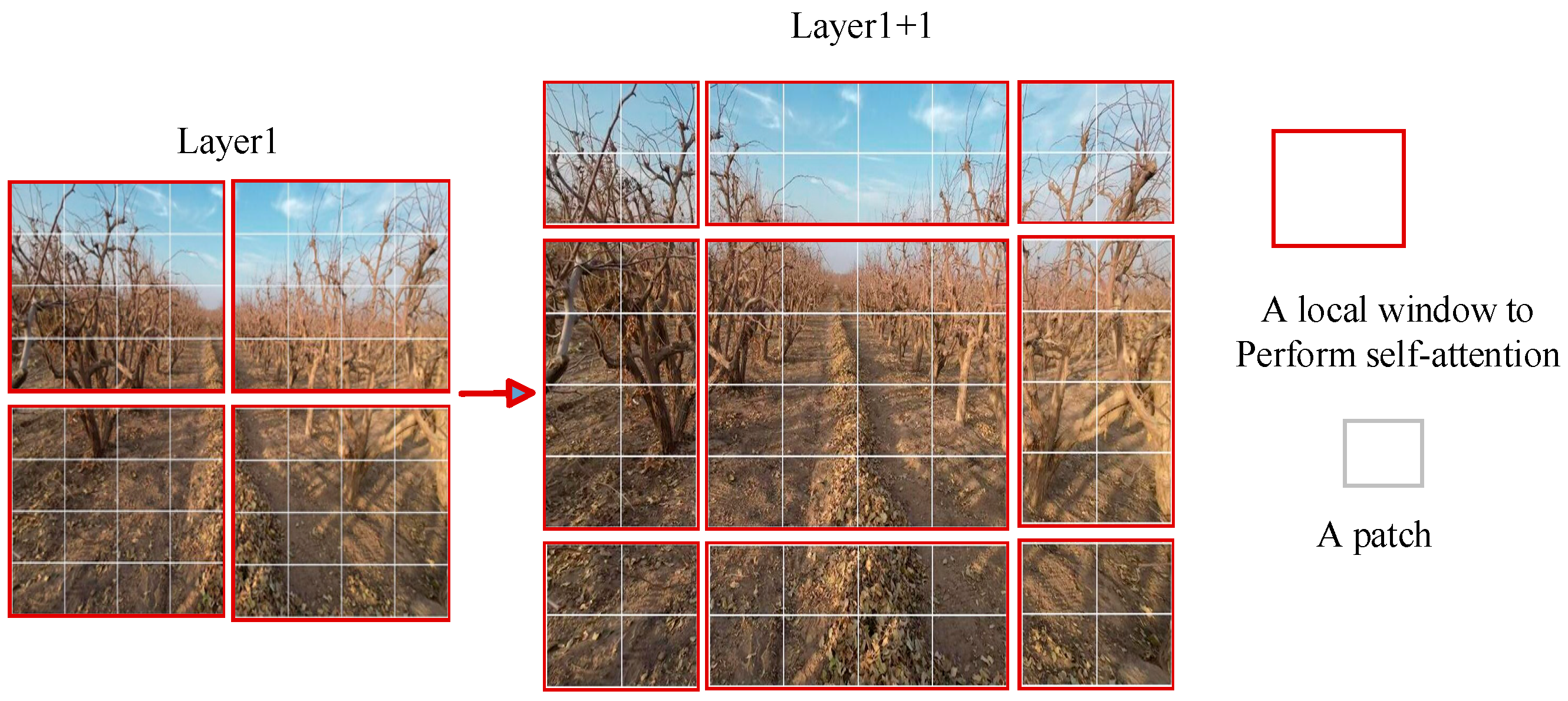 Agriculture 14 01760 g008