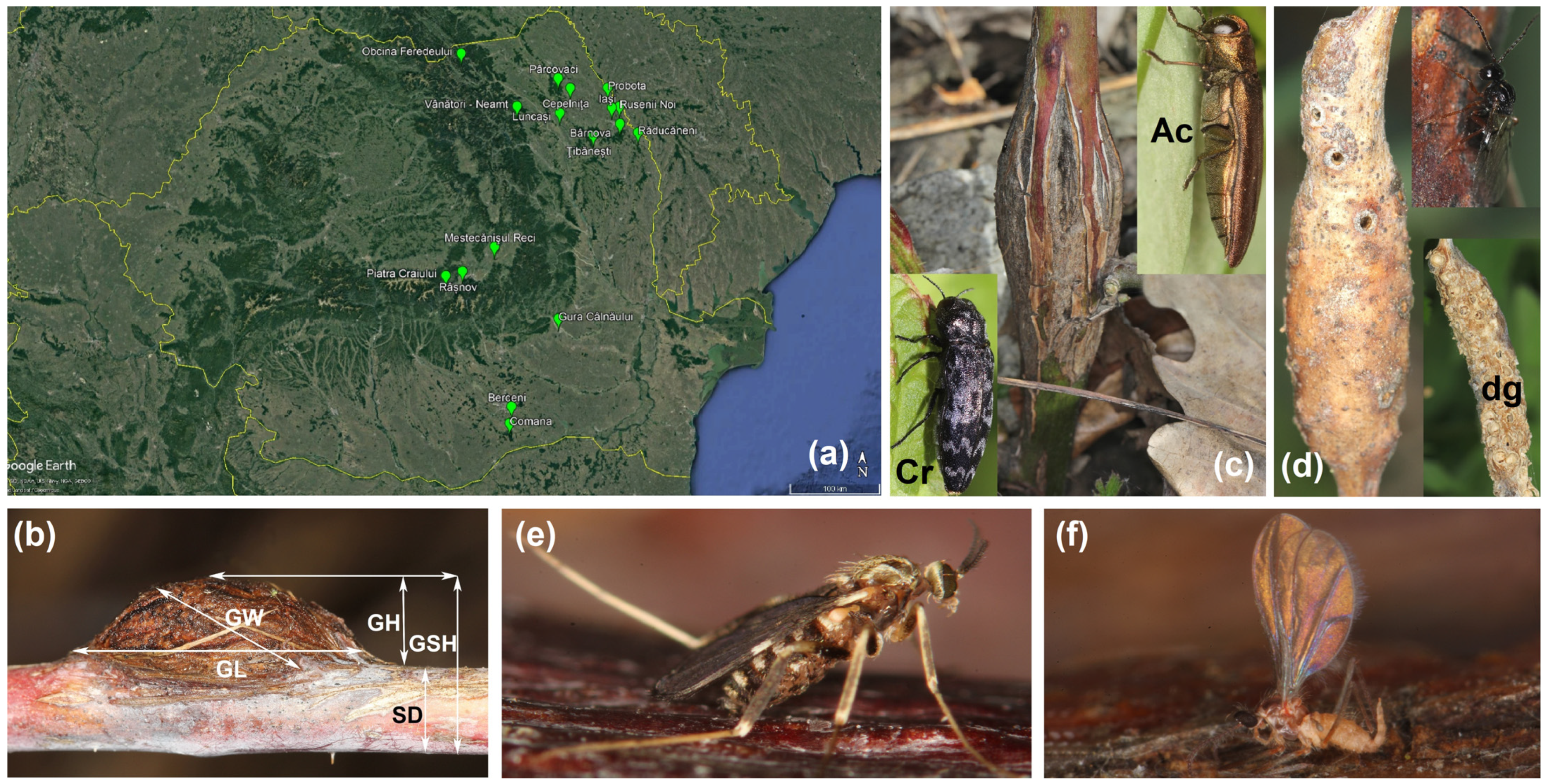 Agriculture 14 01761 g001 Agriculture 14 01761 g001