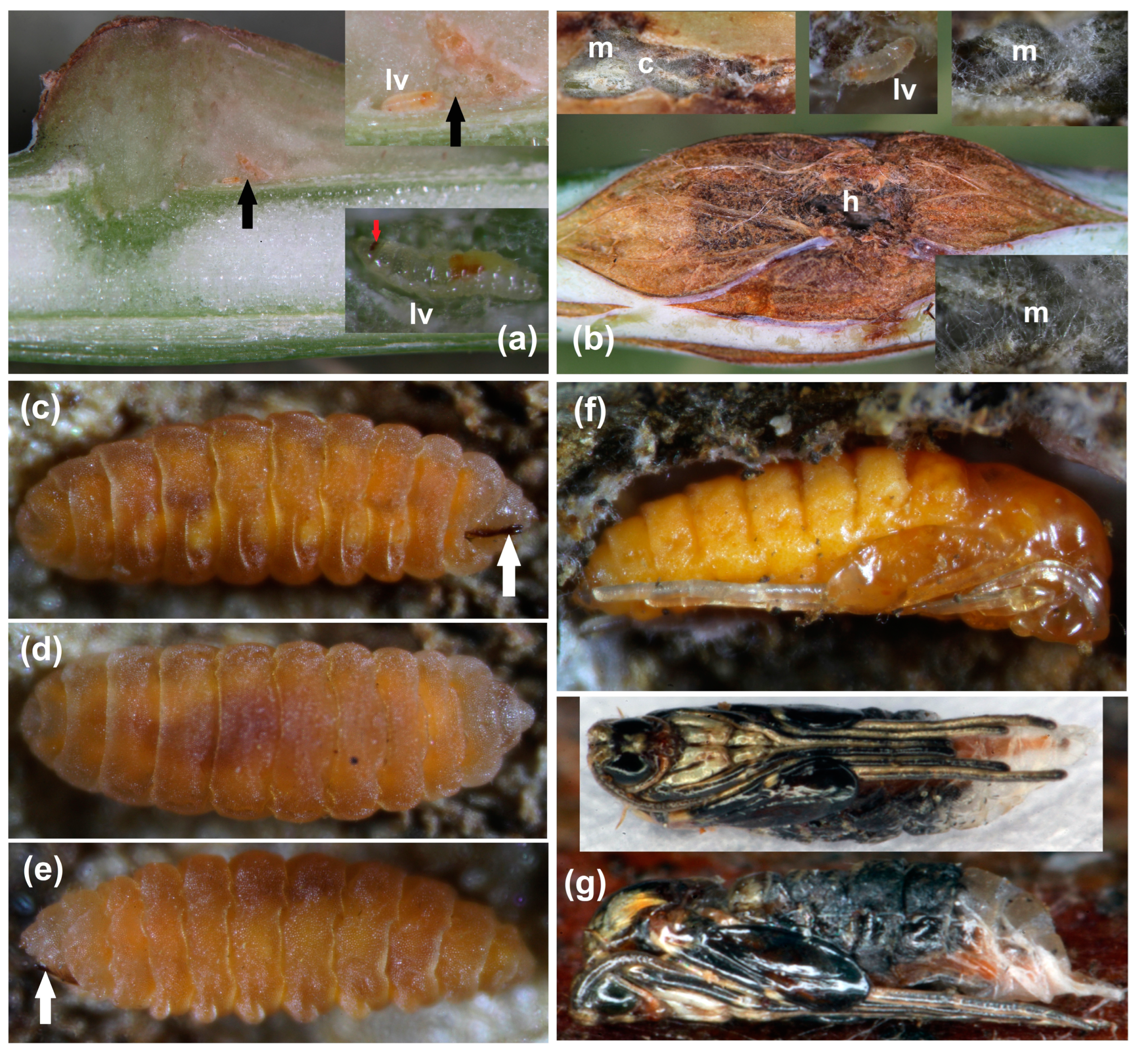 Agriculture 14 01761 g002 Agriculture 14 01761 g002