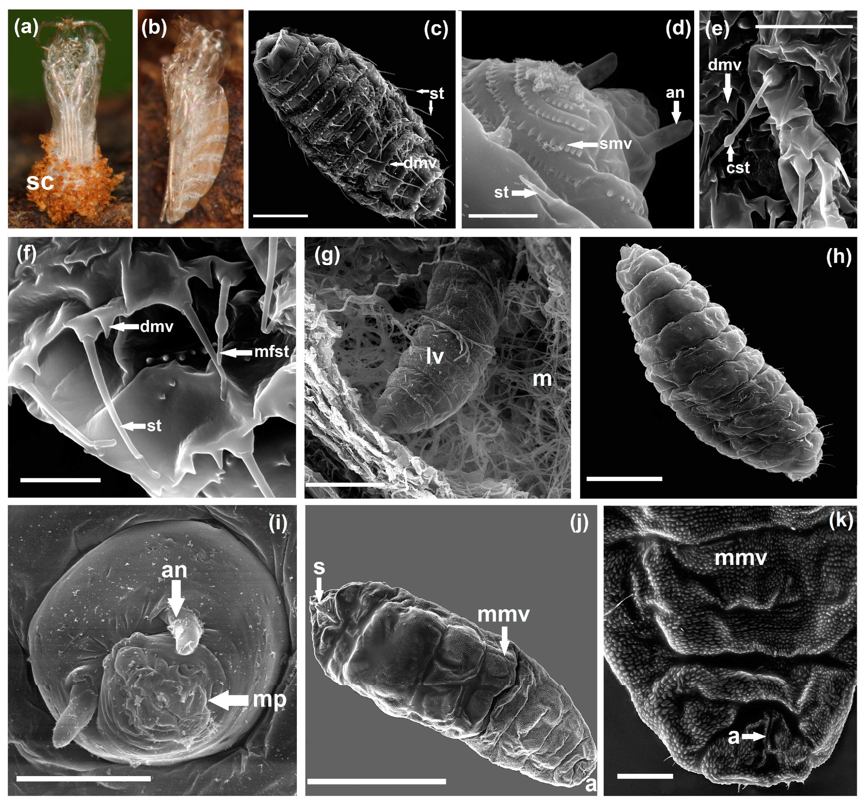 Agriculture 14 01761 g003 Agriculture 14 01761 g003