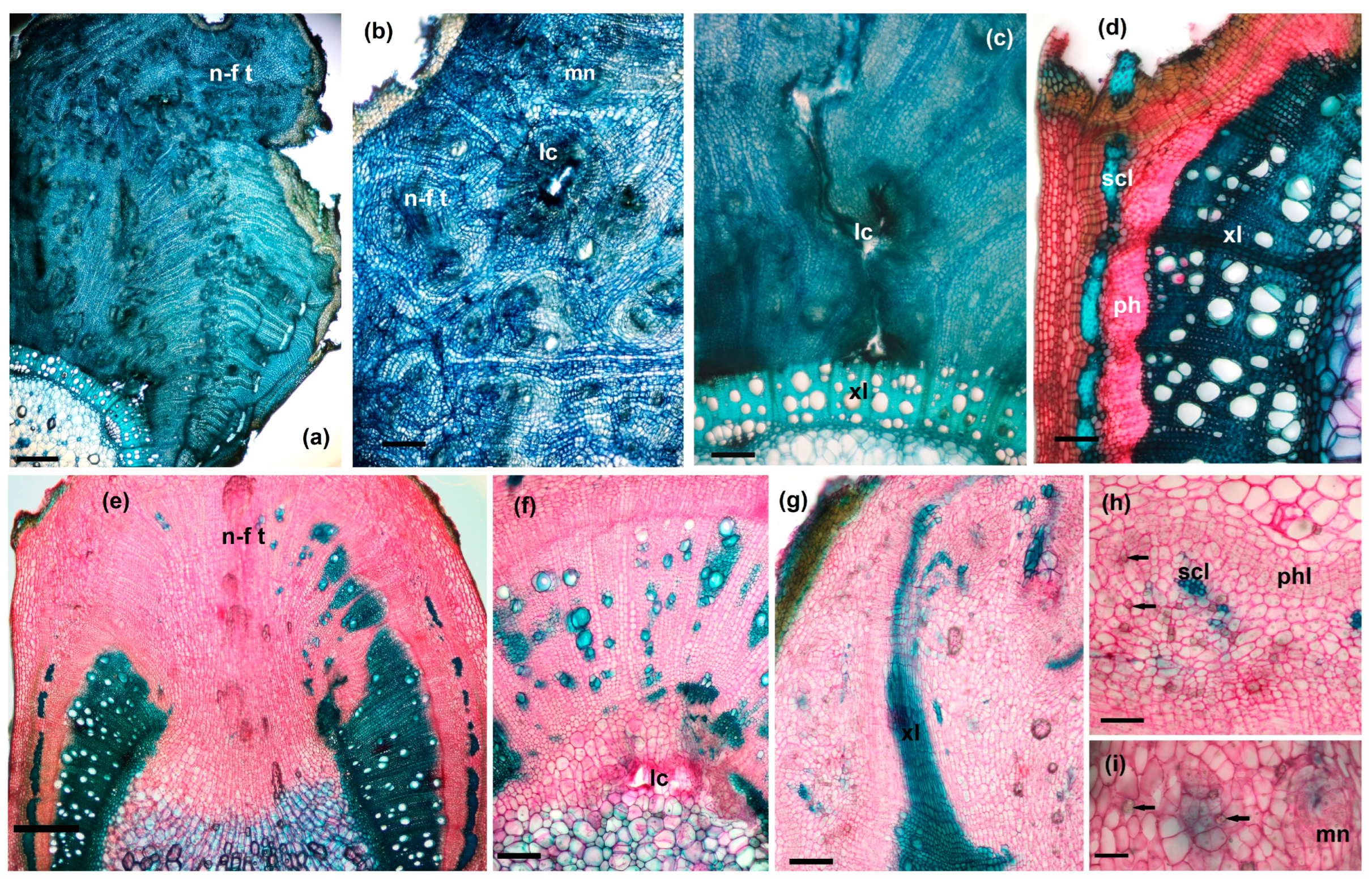 Agriculture 14 01761 g008 Agriculture 14 01761 g008