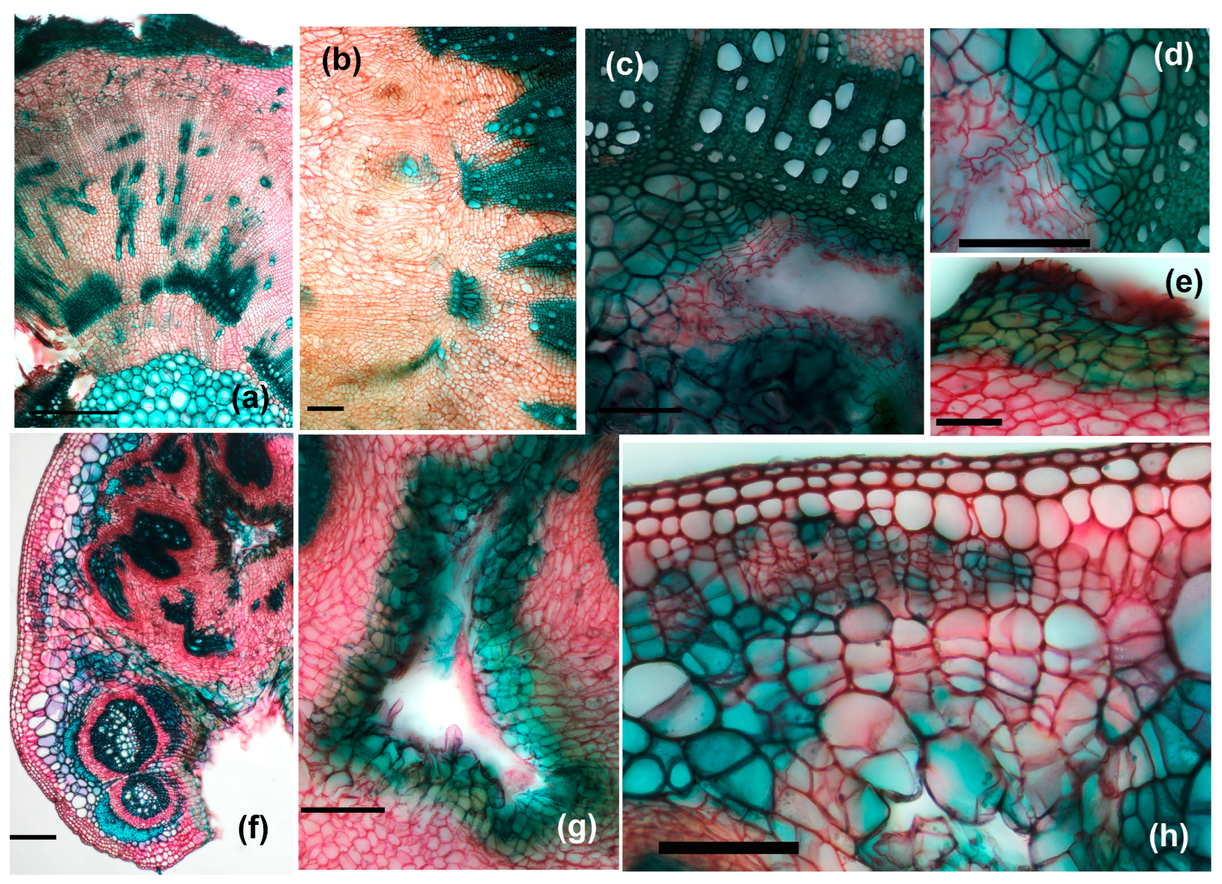 Agriculture 14 01761 g010 Agriculture 14 01761 g010