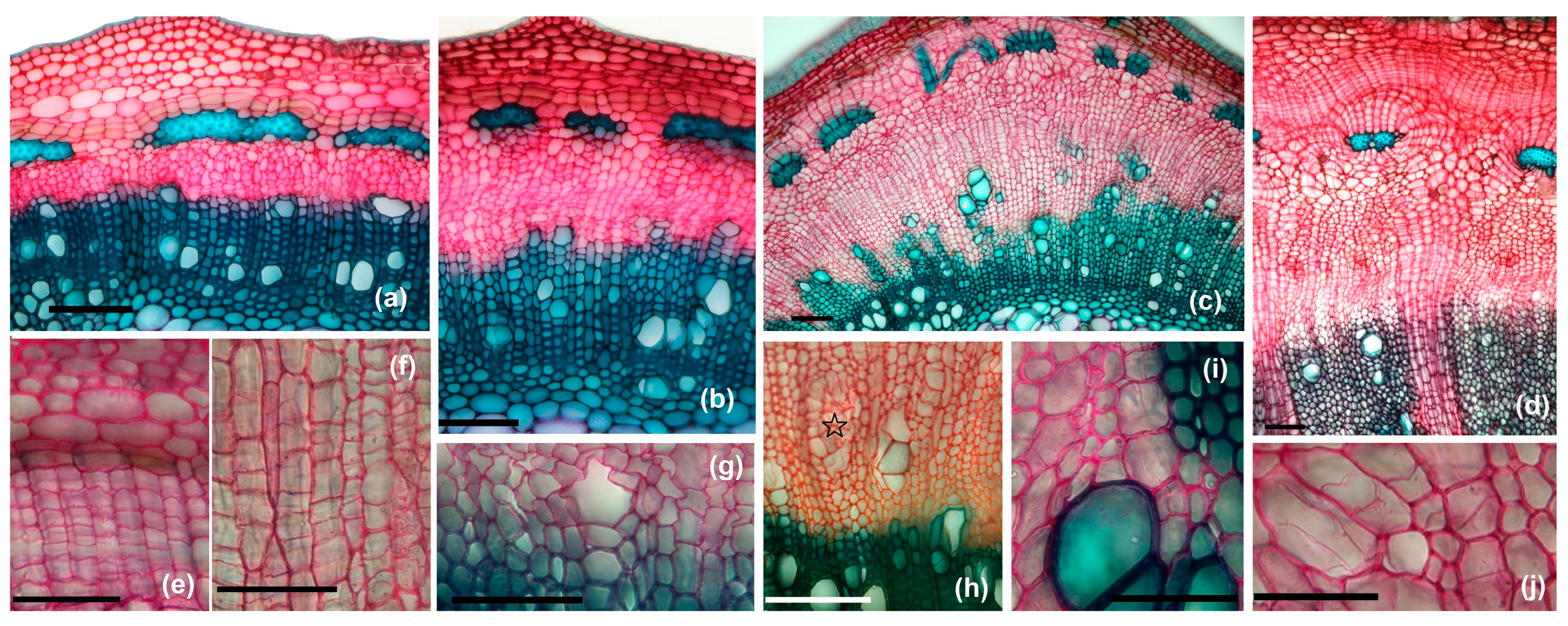 Agriculture 14 01761 g011 Agriculture 14 01761 g011
