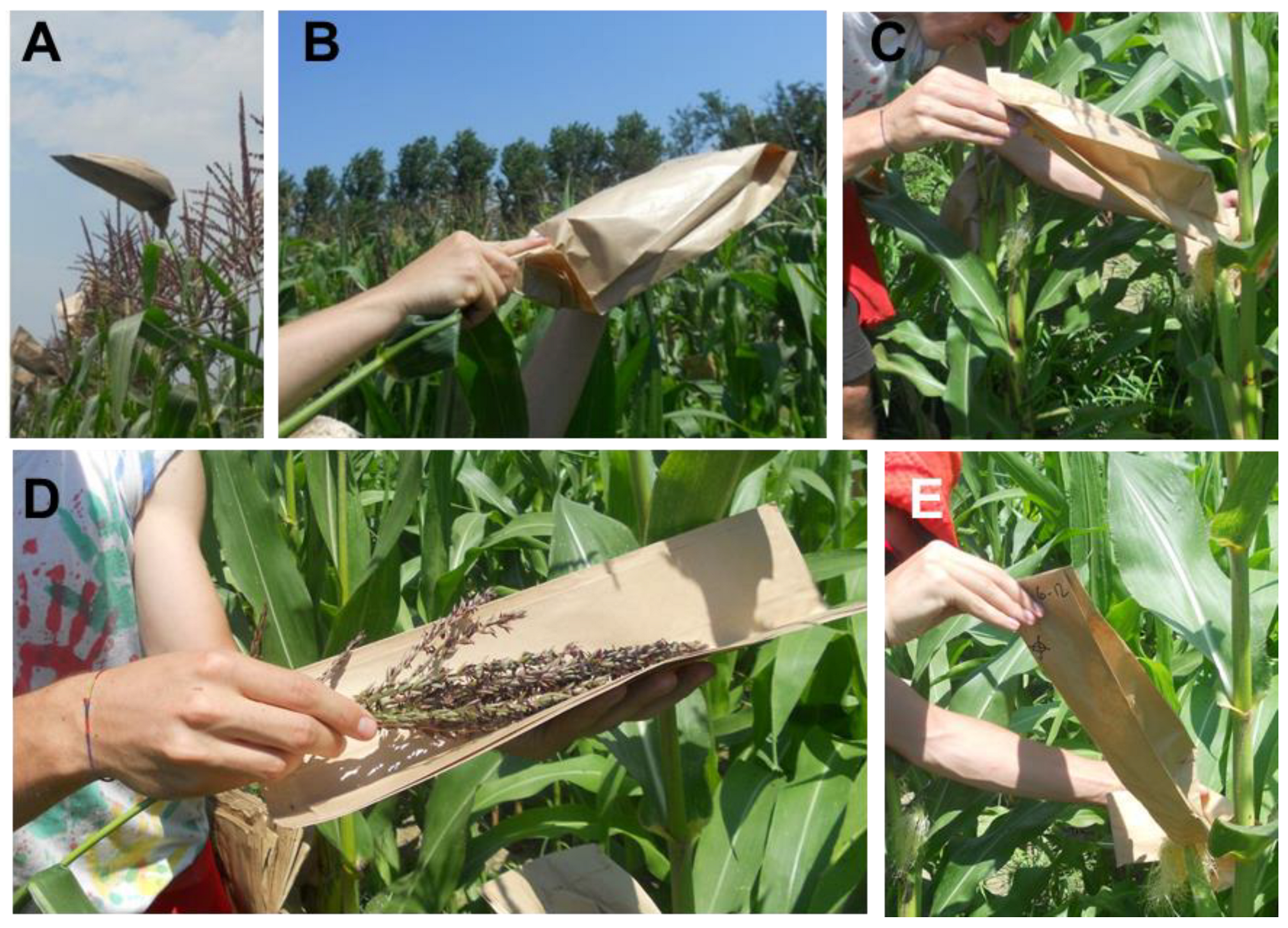 Agriculture 14 01791 g001