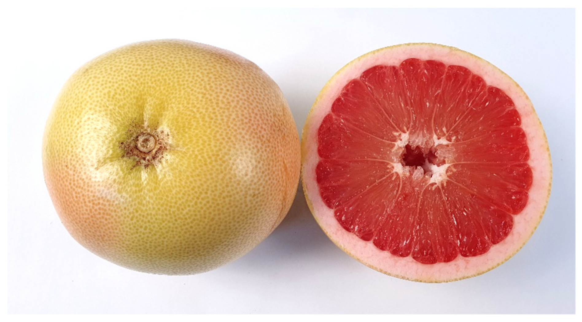 Agriculture 14 01836 g001