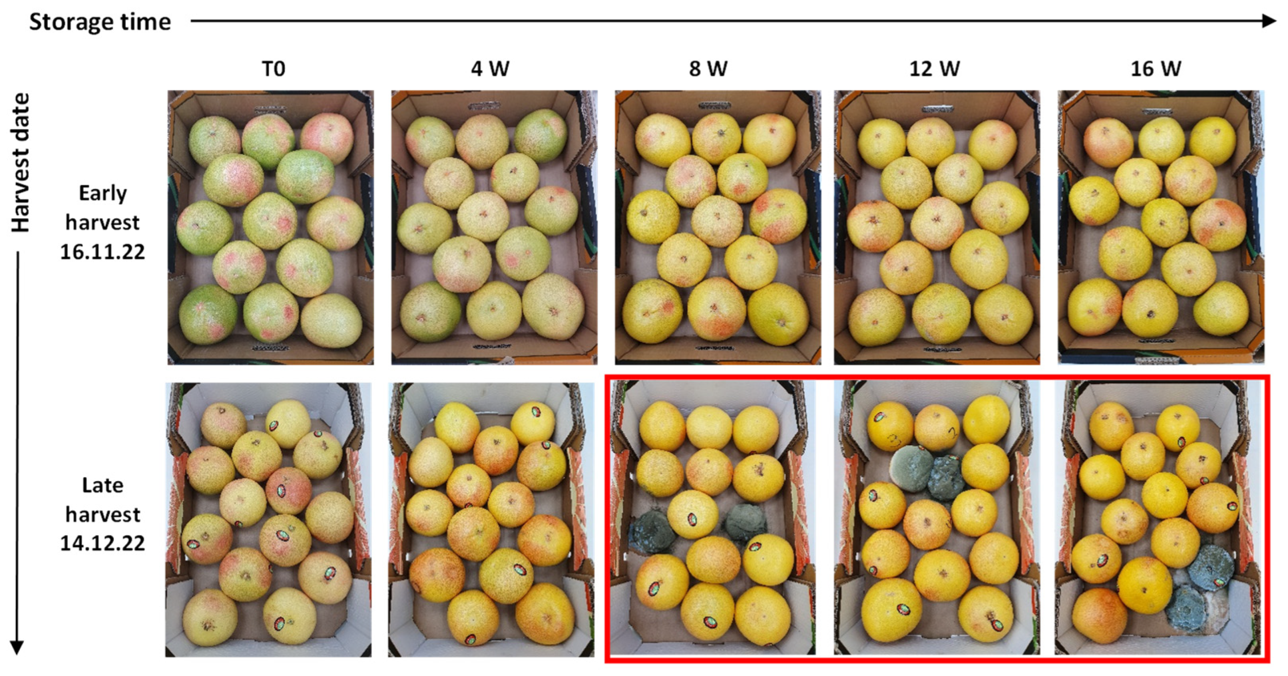 Agriculture 14 01836 g002