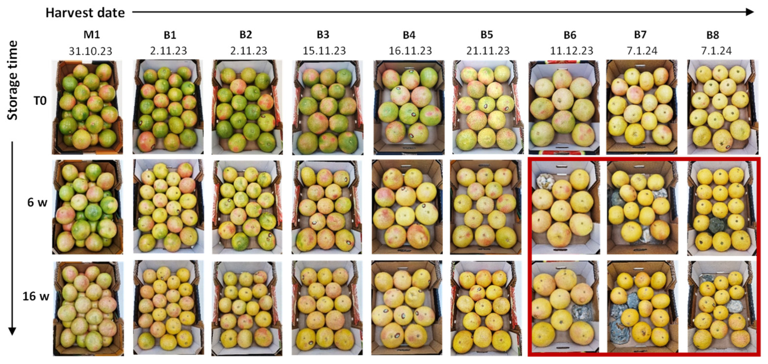 Agriculture 14 01836 g004